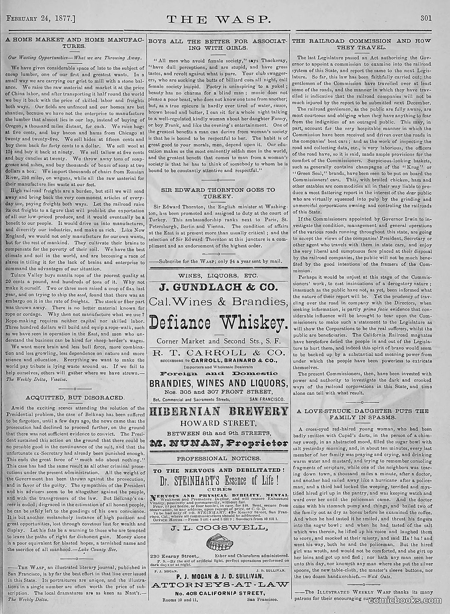 The Wasp — 1877 — page 96 of 378