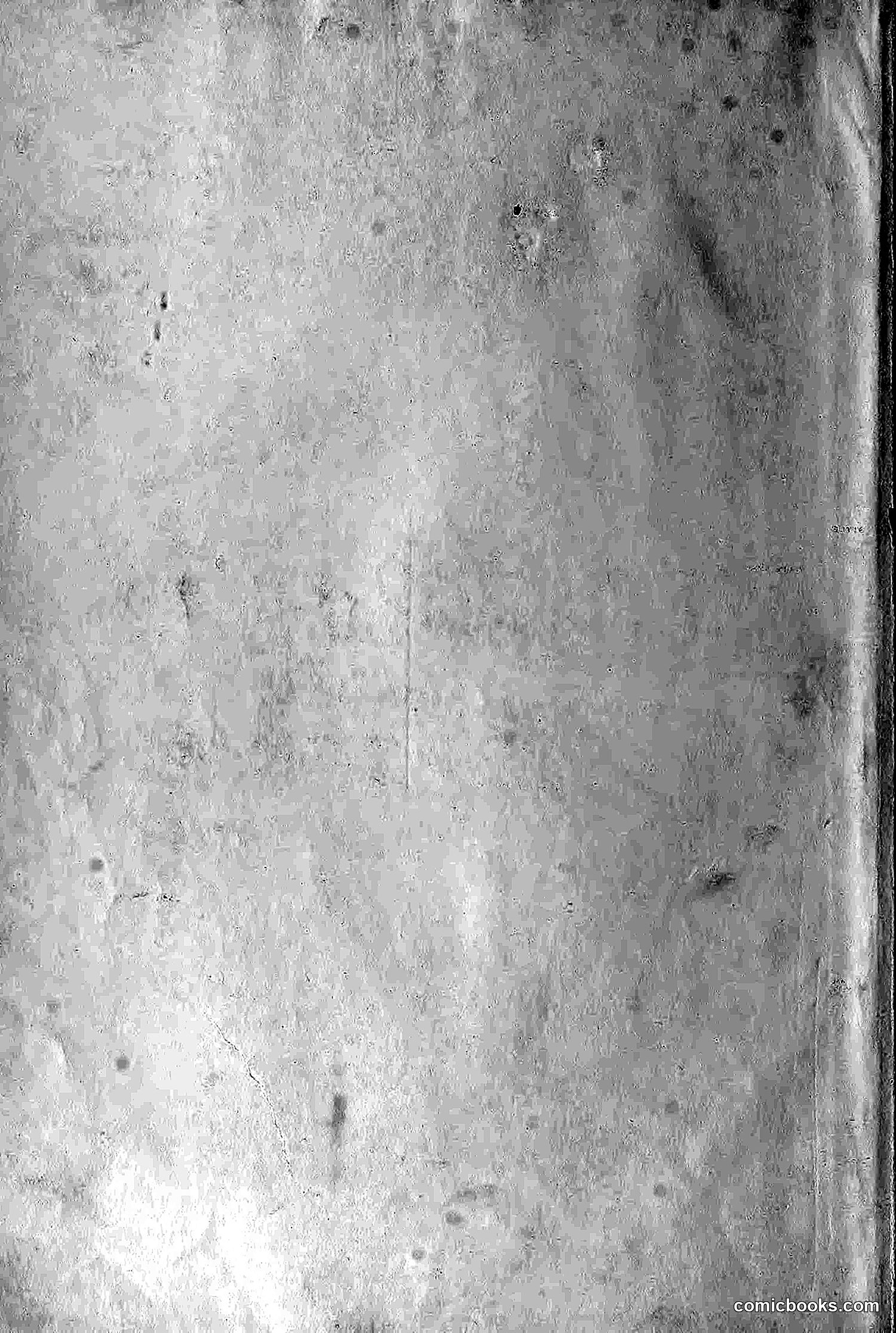 The Wasp — 1878 — page 7 of 500
