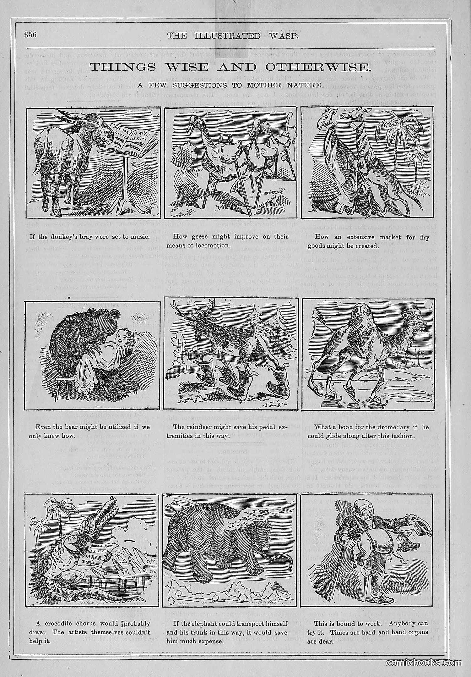 The Wasp — 1878 — page 11 of 500