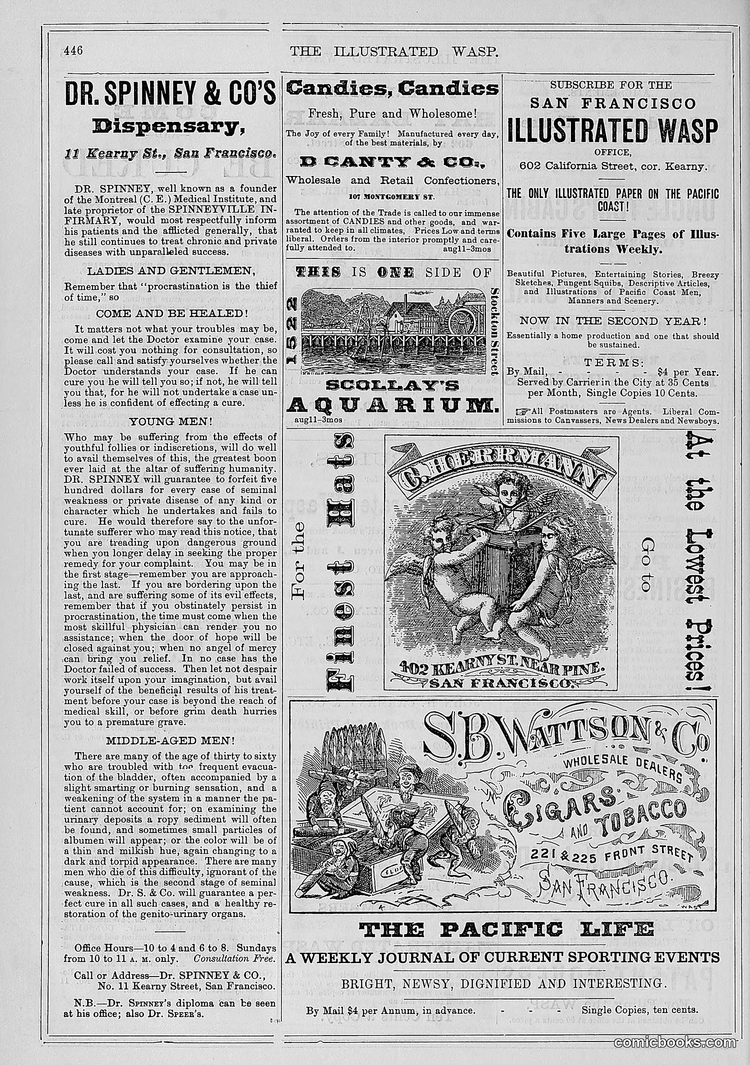 The Wasp — 1878 — page 101 of 500