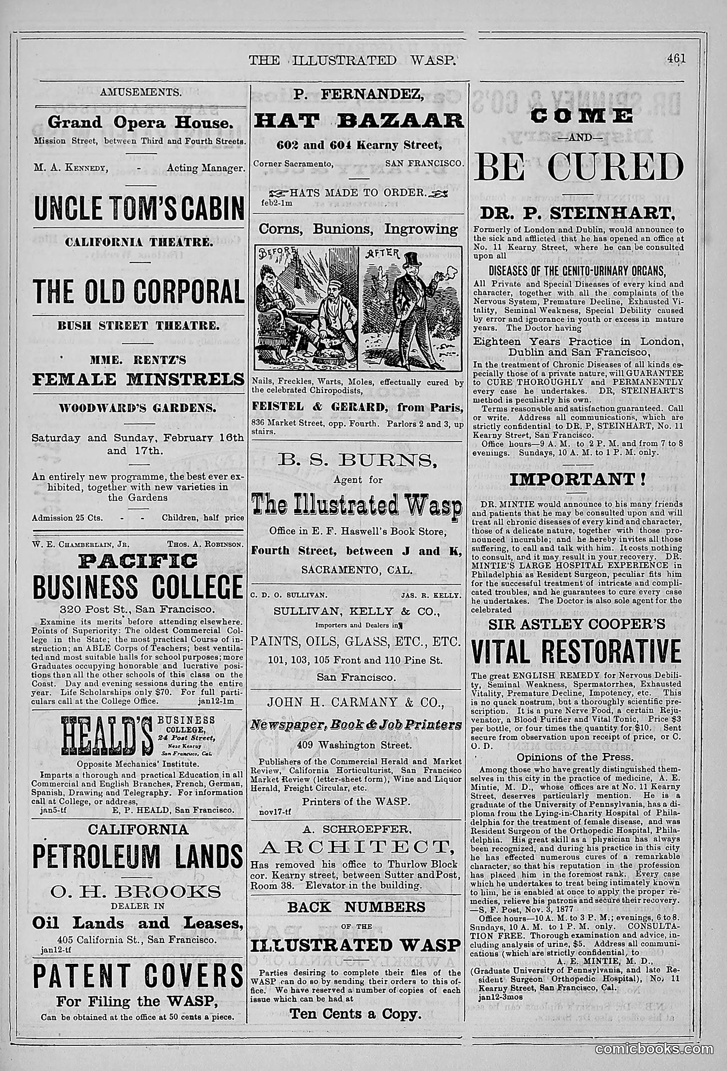 The Wasp — 1878 — page 116 of 500