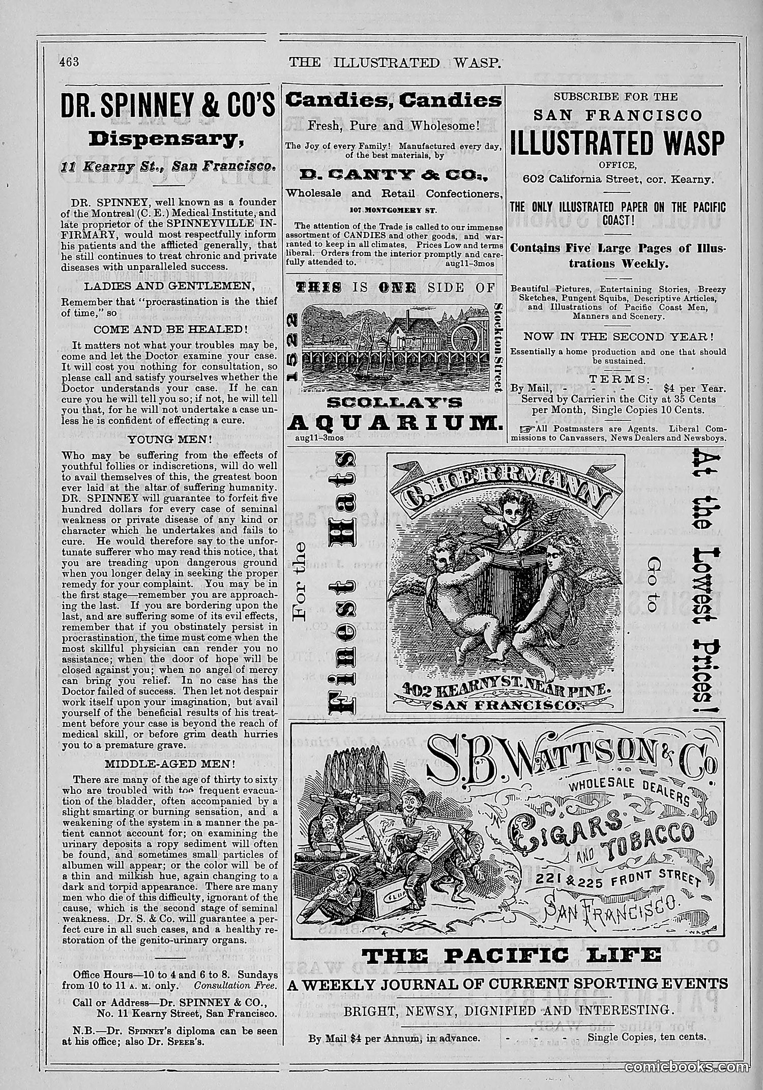 The Wasp — 1878 — page 117 of 500