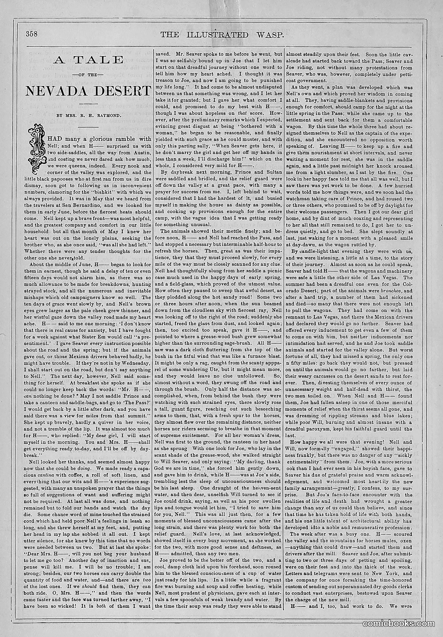The Wasp — 1878 — page 13 of 500