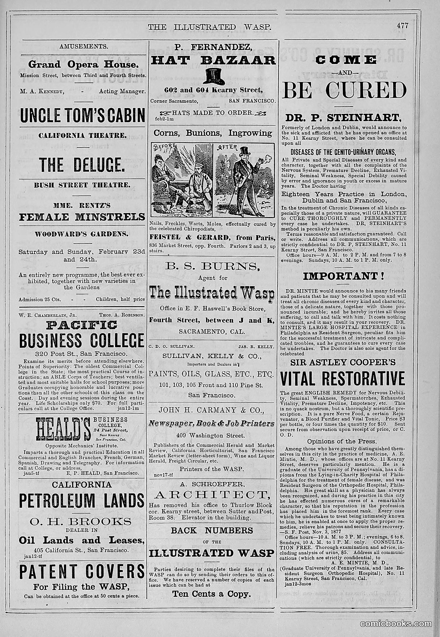 The Wasp — 1878 — page 132 of 500
