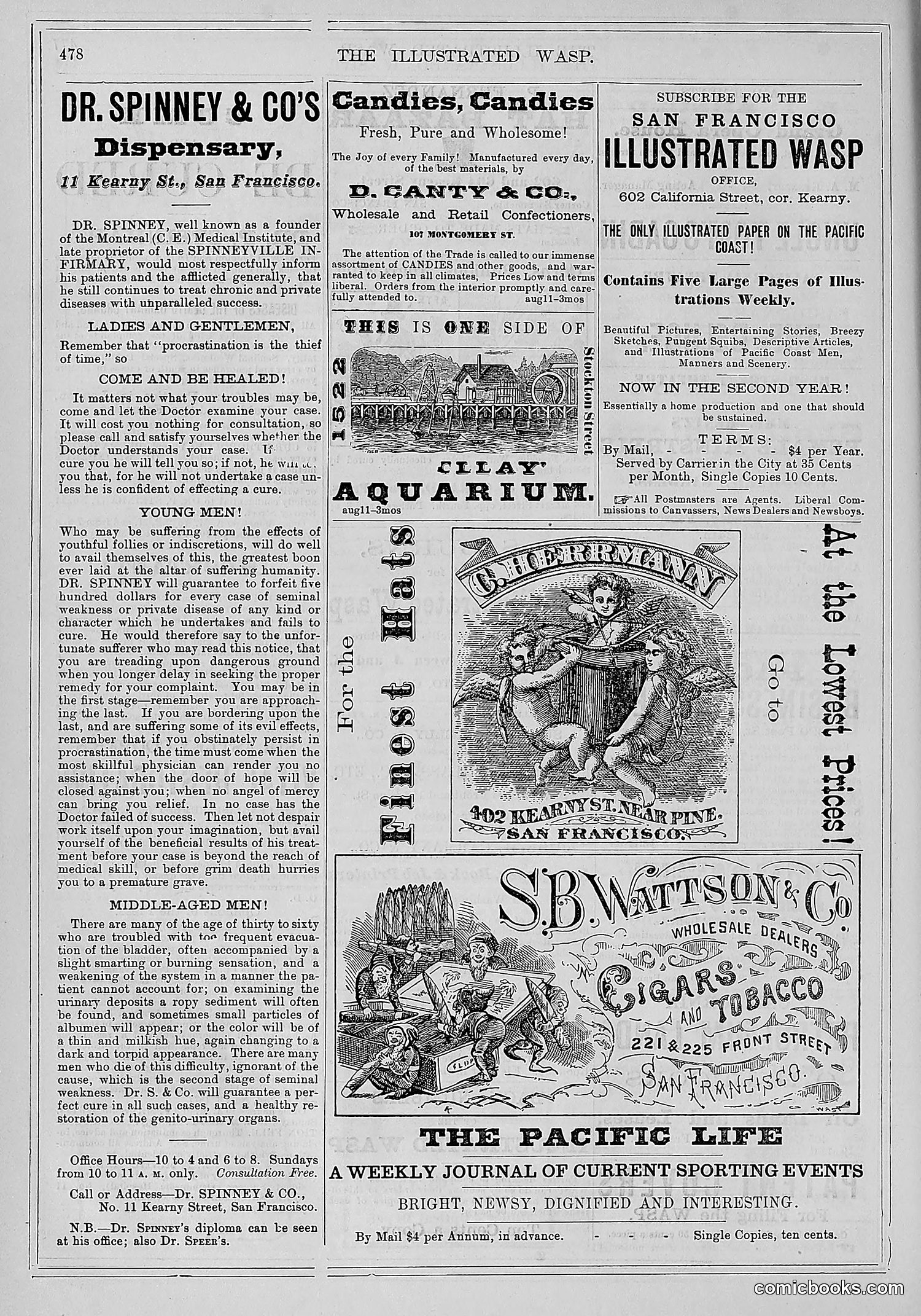 The Wasp — 1878 — page 133 of 500