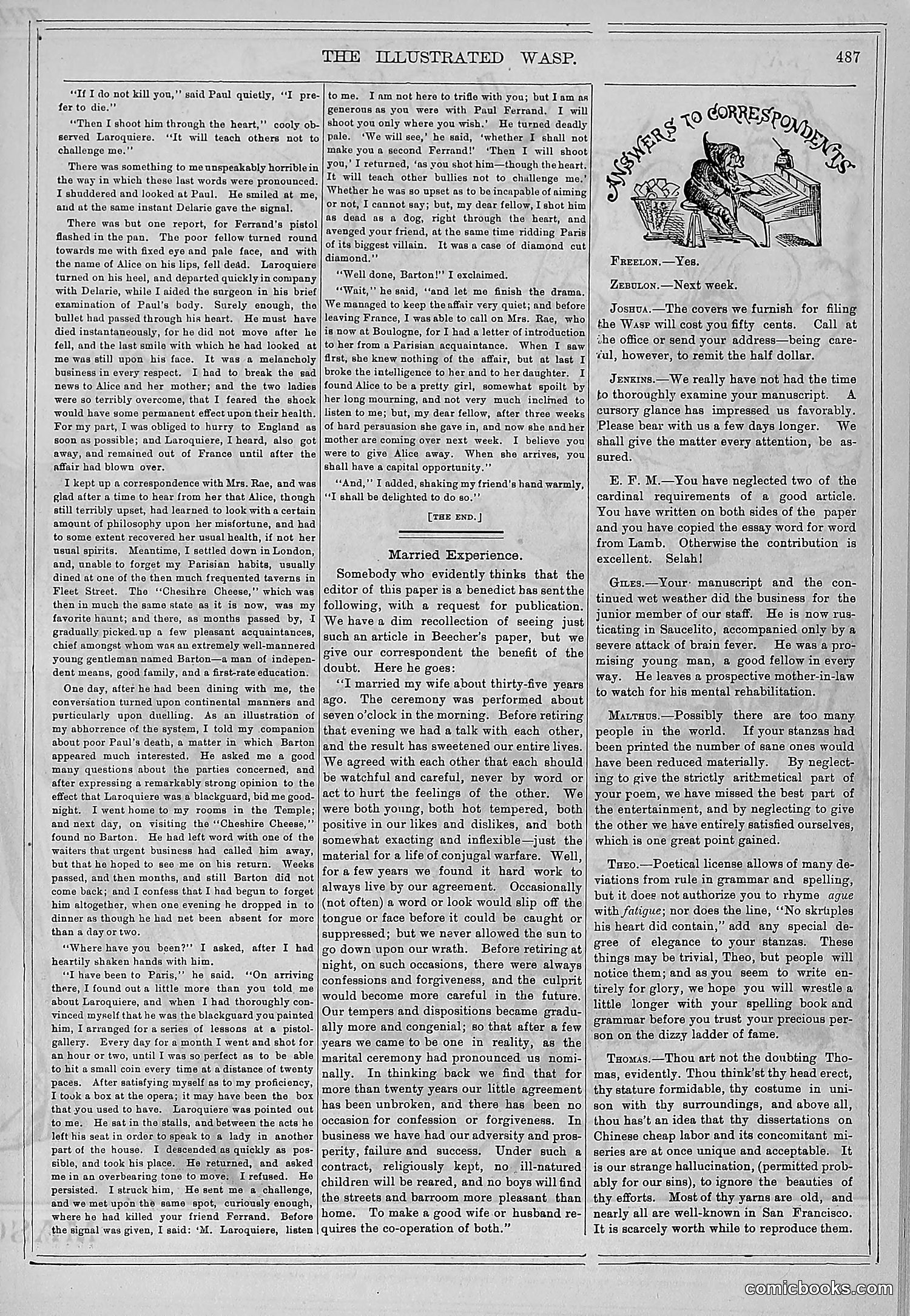 The Wasp — 1878 — page 142 of 500