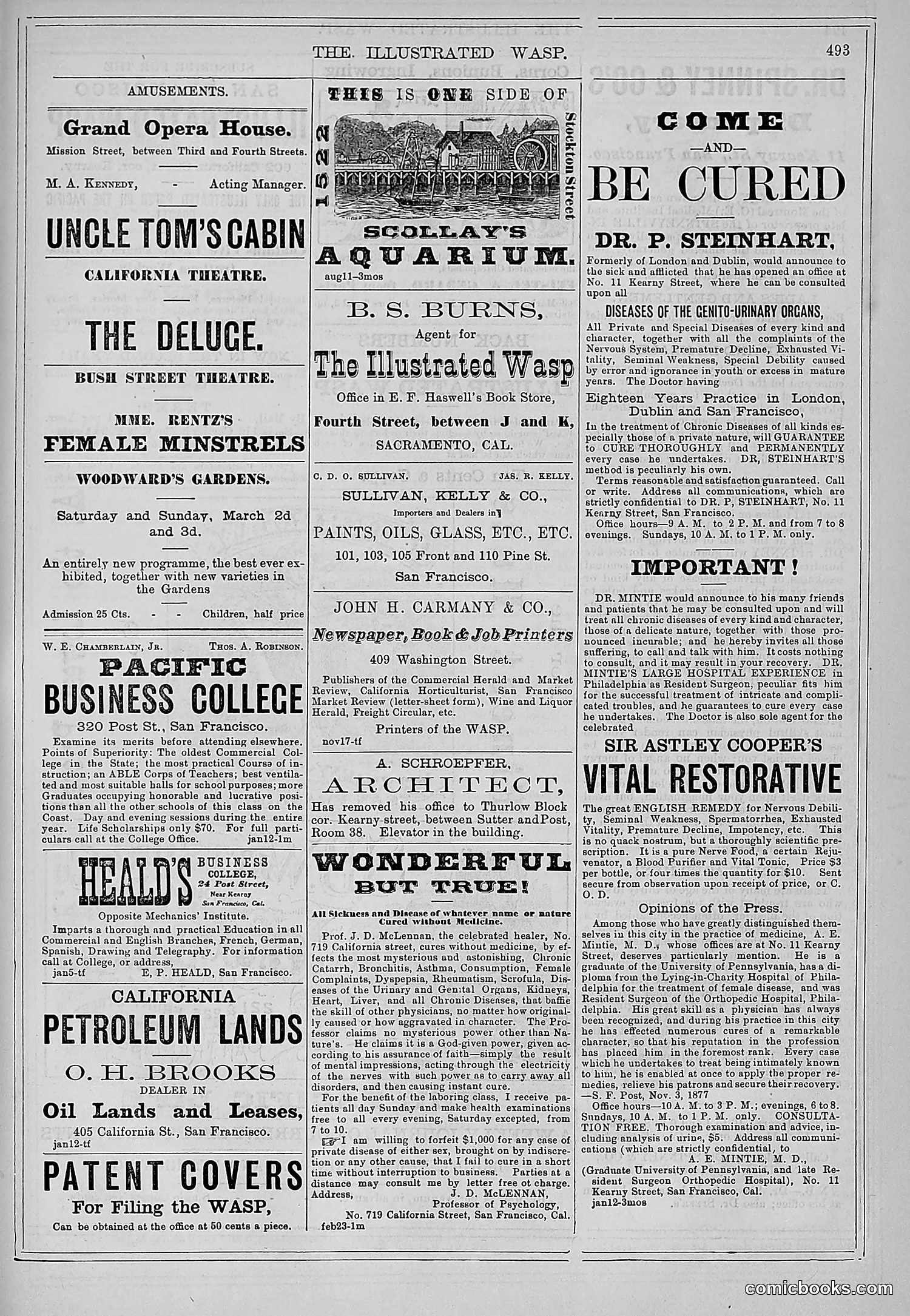 The Wasp — 1878 — page 148 of 500