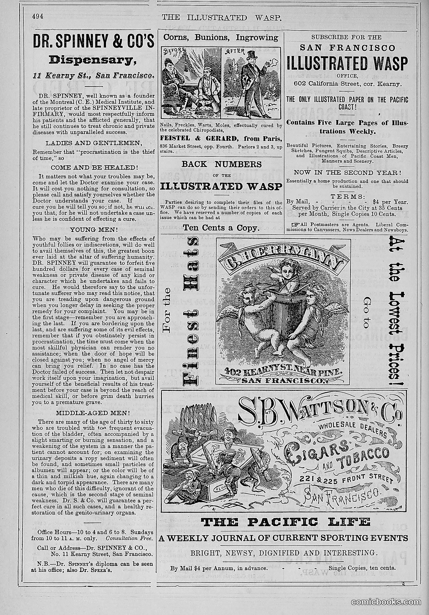 The Wasp — 1878 — page 149 of 500