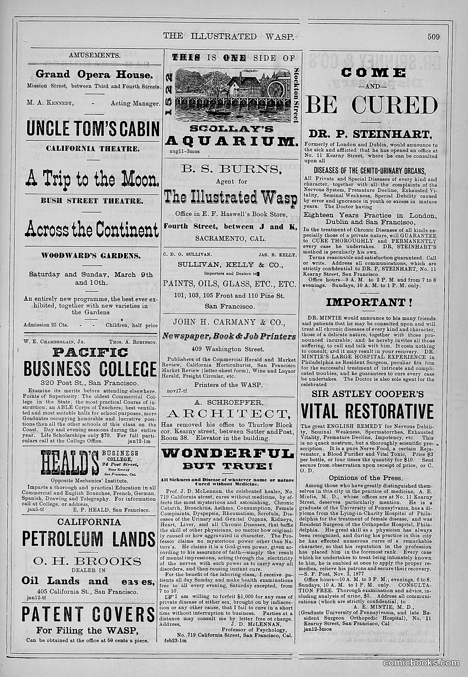 The Wasp — 1878 — page 164 of 500