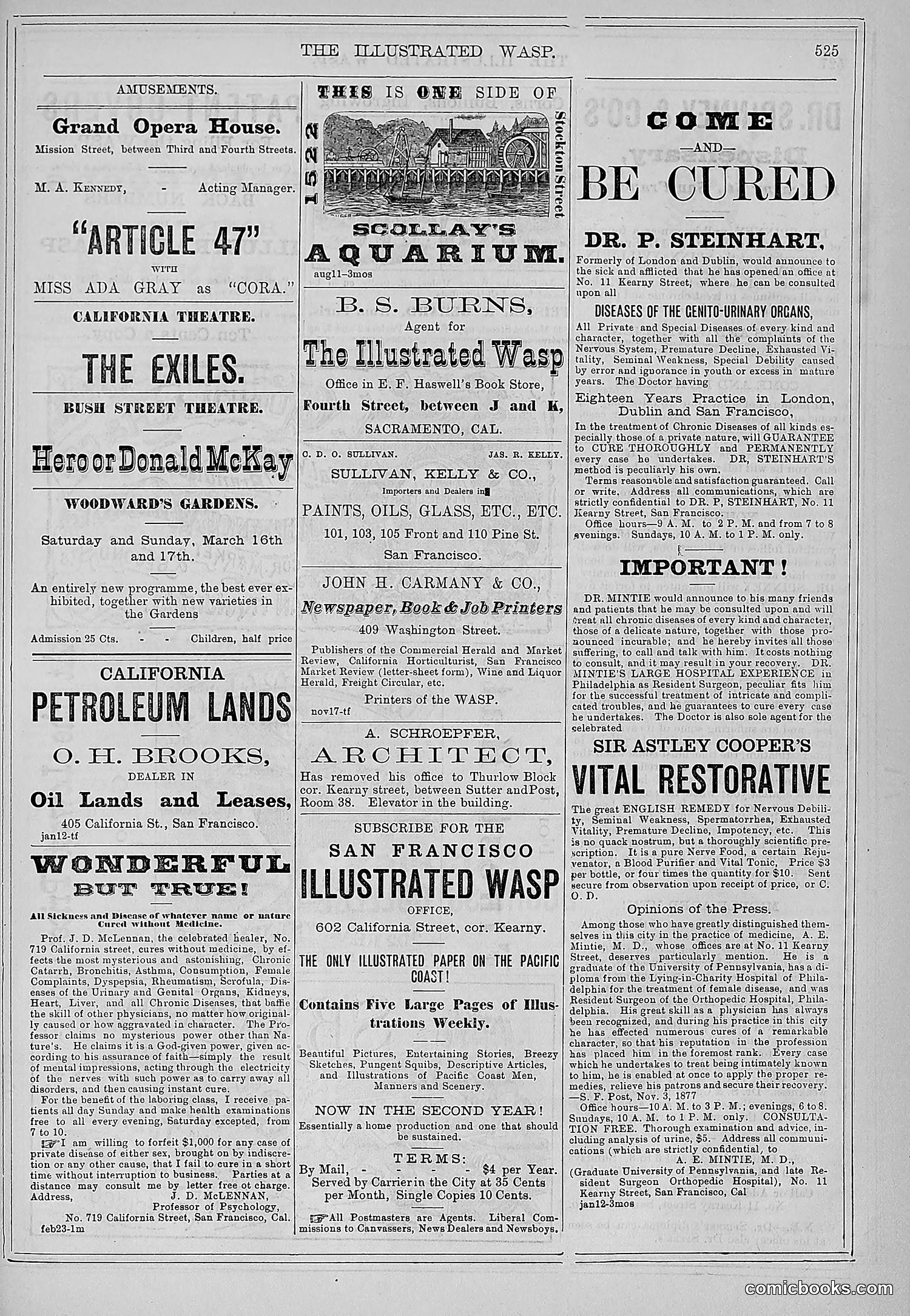 The Wasp — 1878 — page 180 of 500