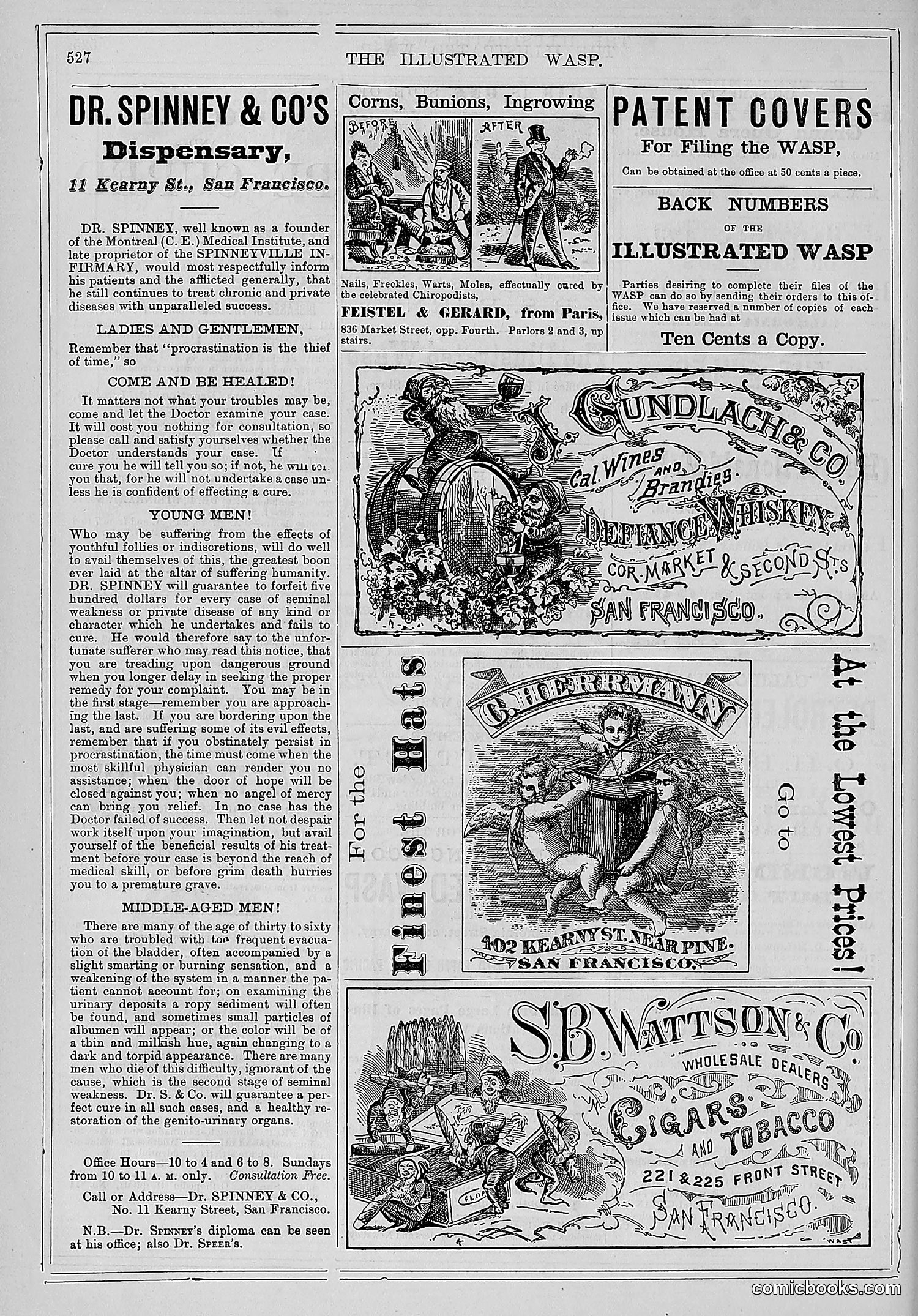 The Wasp — 1878 — page 181 of 500