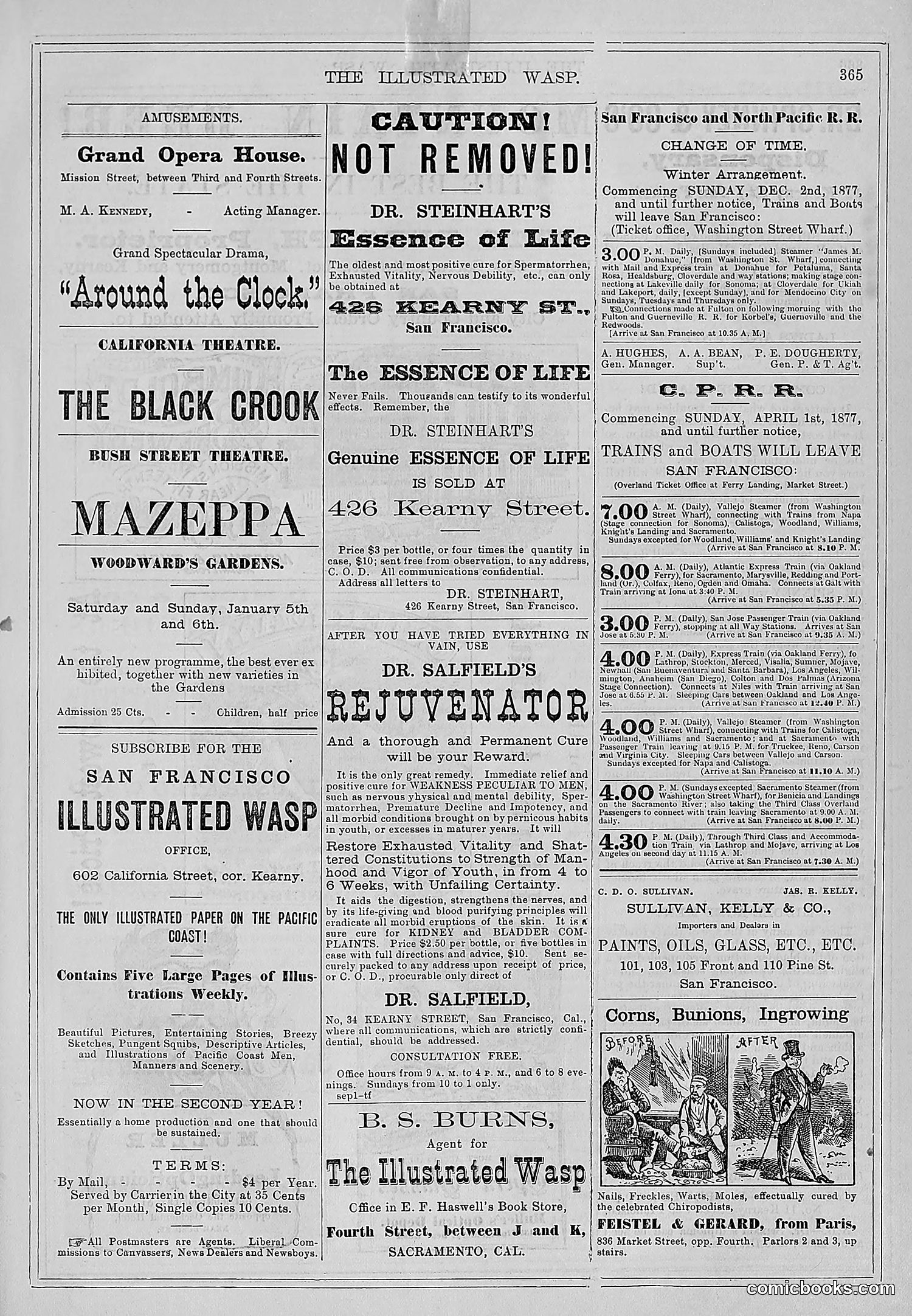 The Wasp — 1878 — page 20 of 500