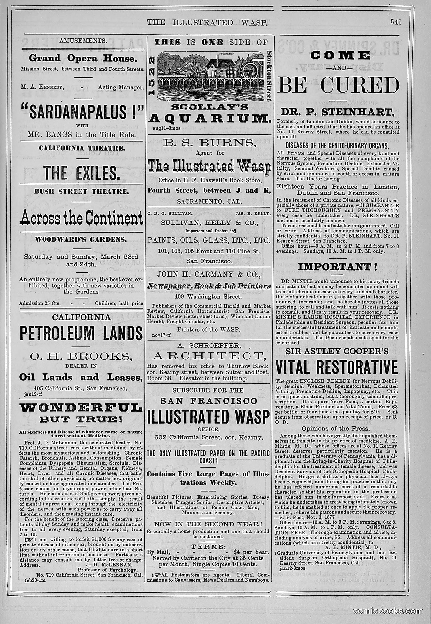 The Wasp — 1878 — page 196 of 500