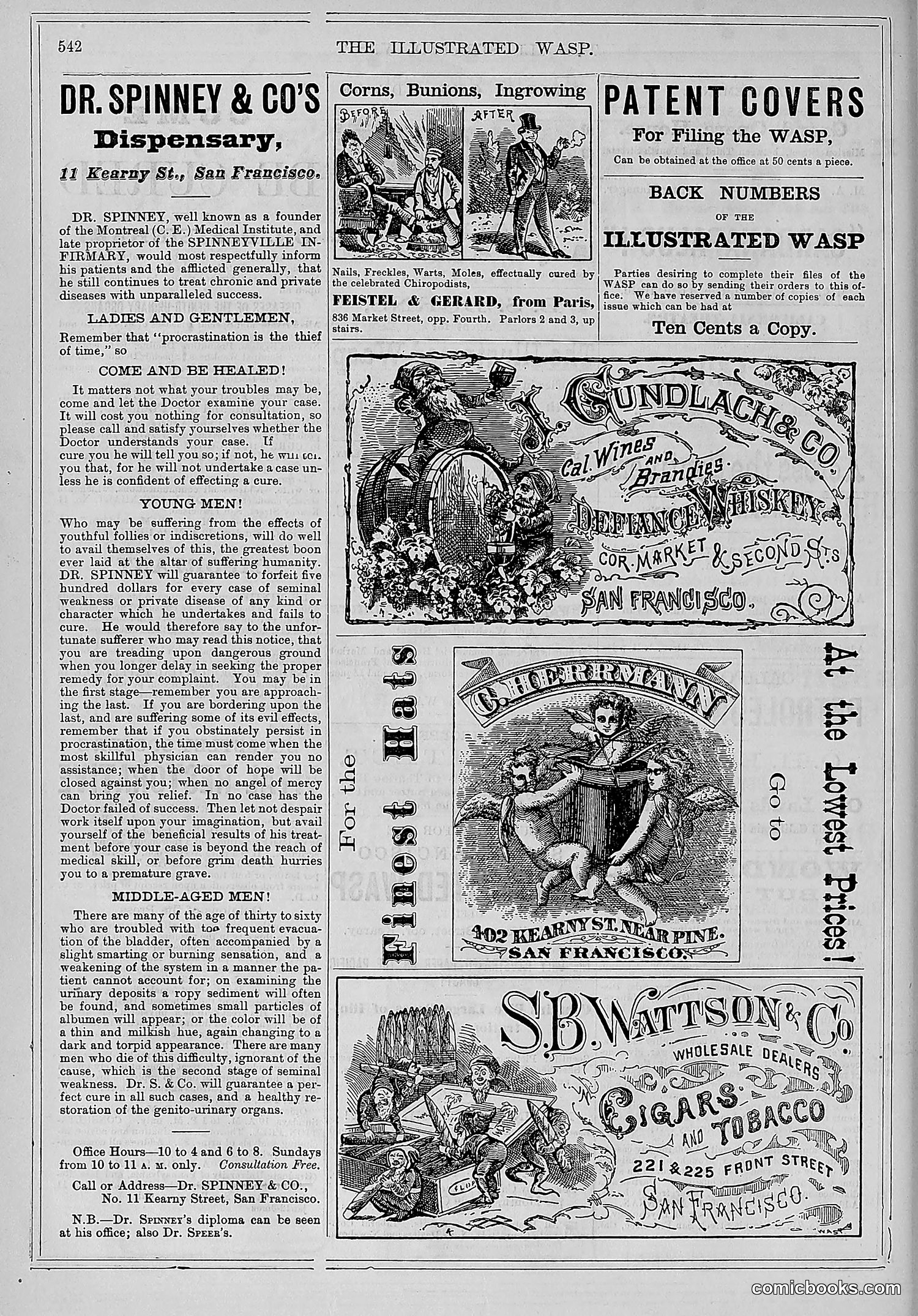 The Wasp — 1878 — page 197 of 500