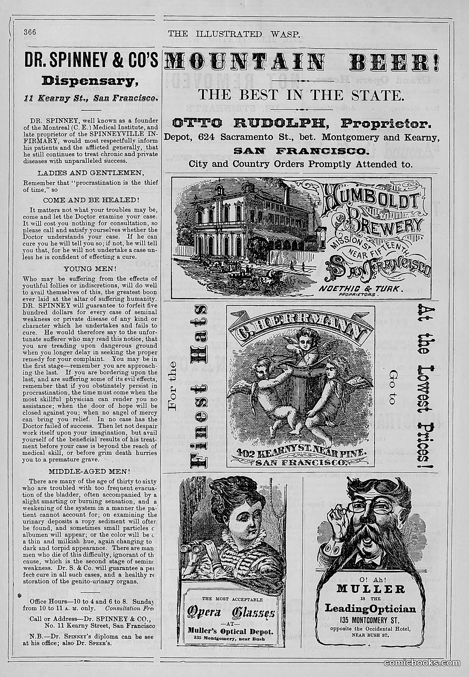 The Wasp — 1878 — page 21 of 500