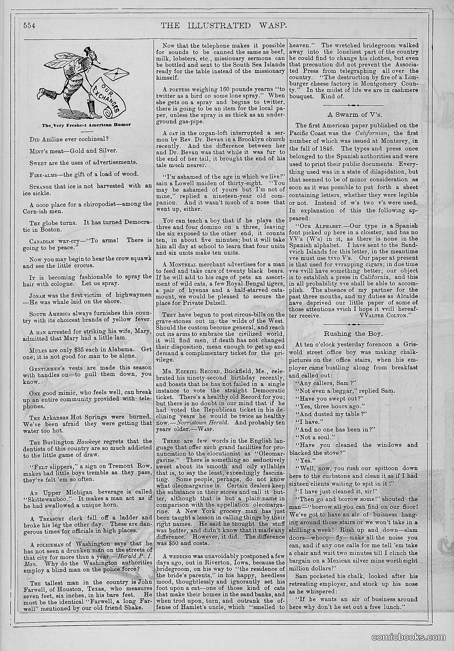 The Wasp — 1878 — page 209 of 500