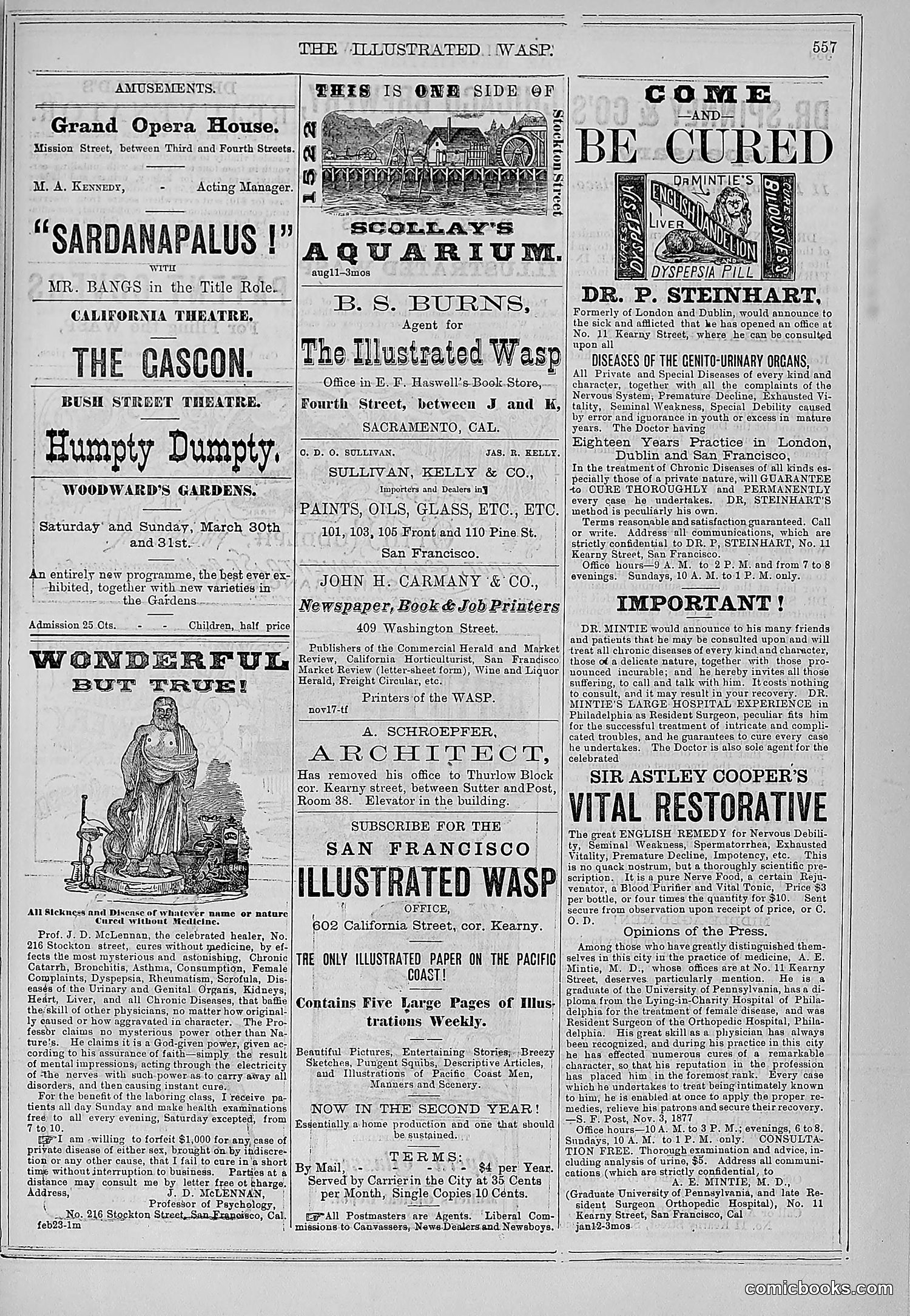The Wasp — 1878 — page 212 of 500