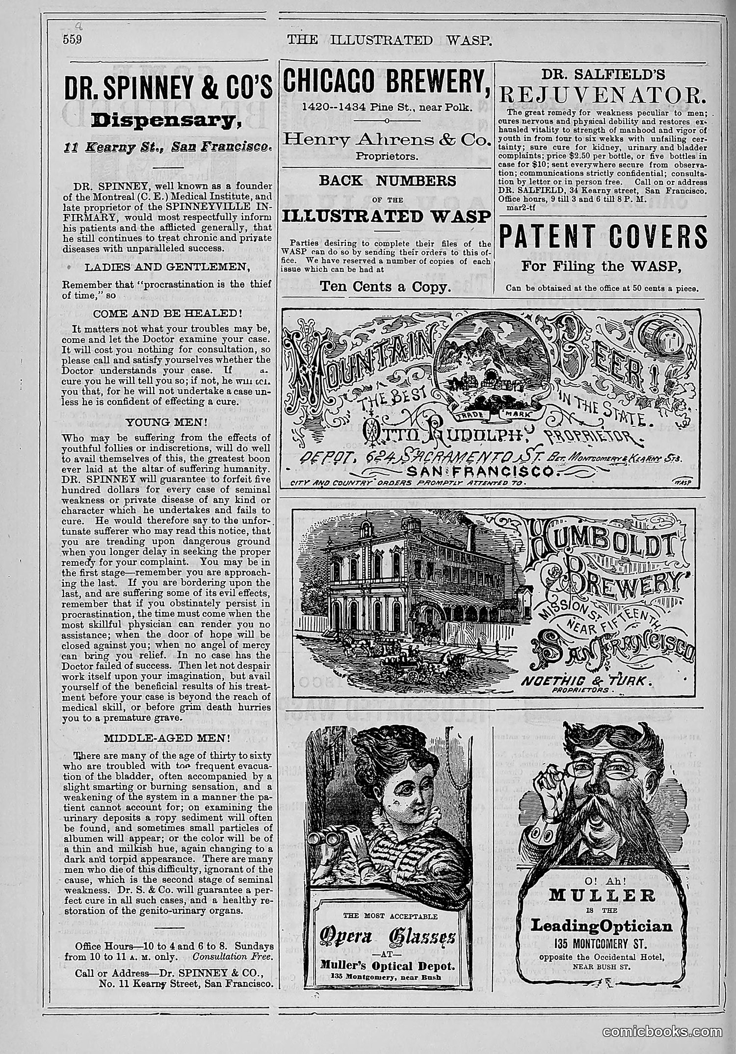 The Wasp — 1878 — page 213 of 500
