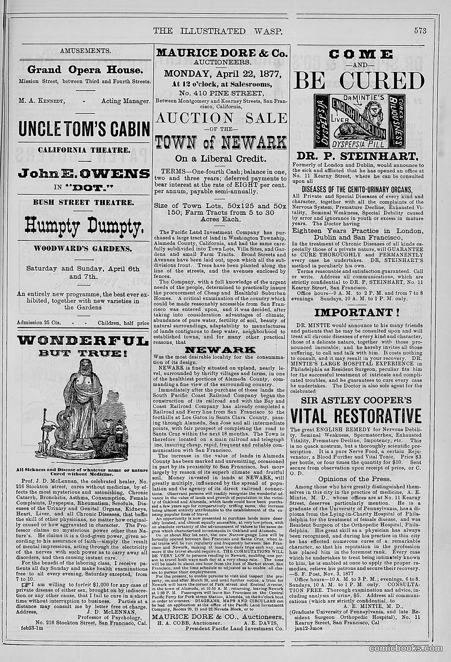 The Wasp — 1878 — page 228 of 500