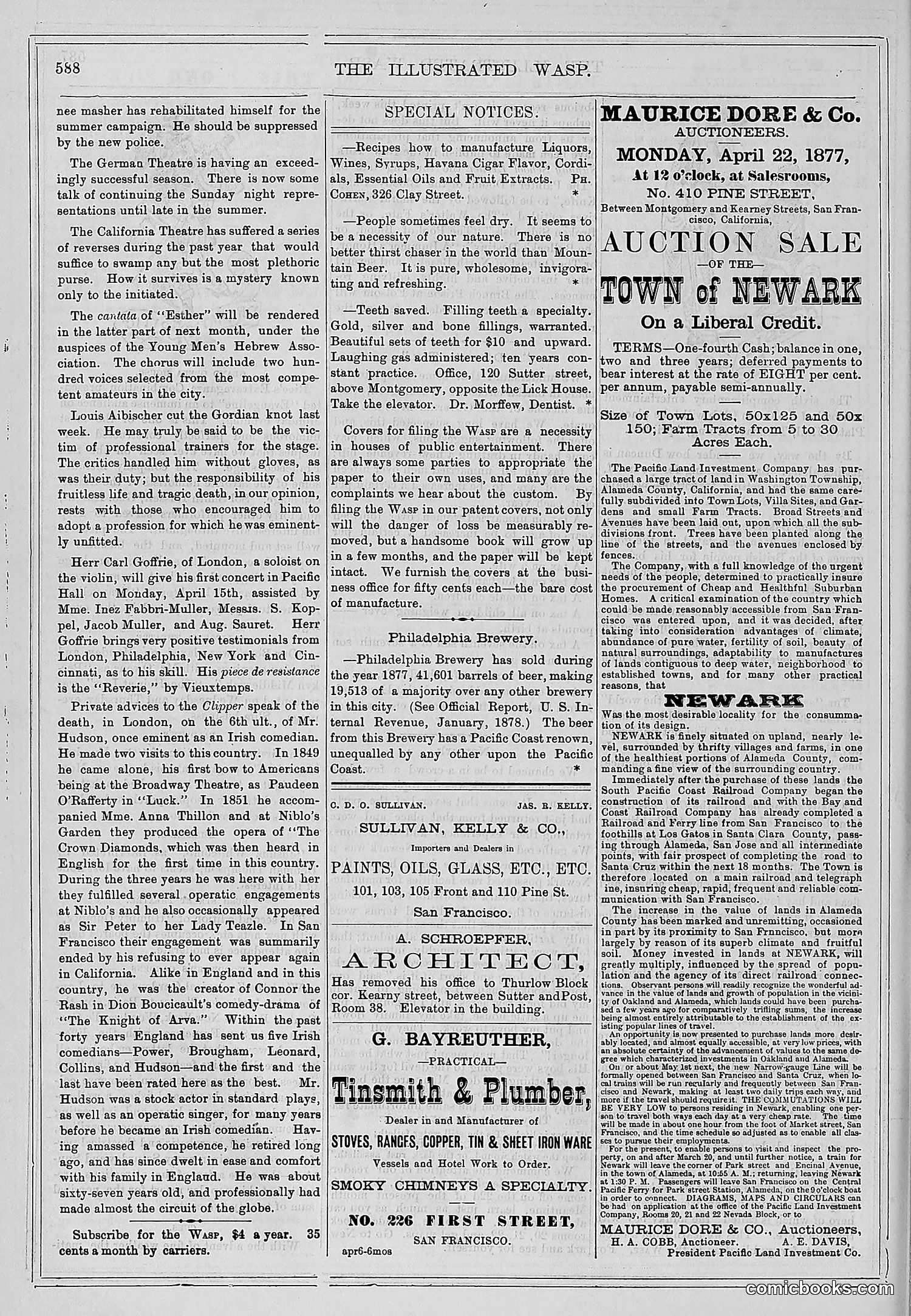 The Wasp — 1878 — page 243 of 500