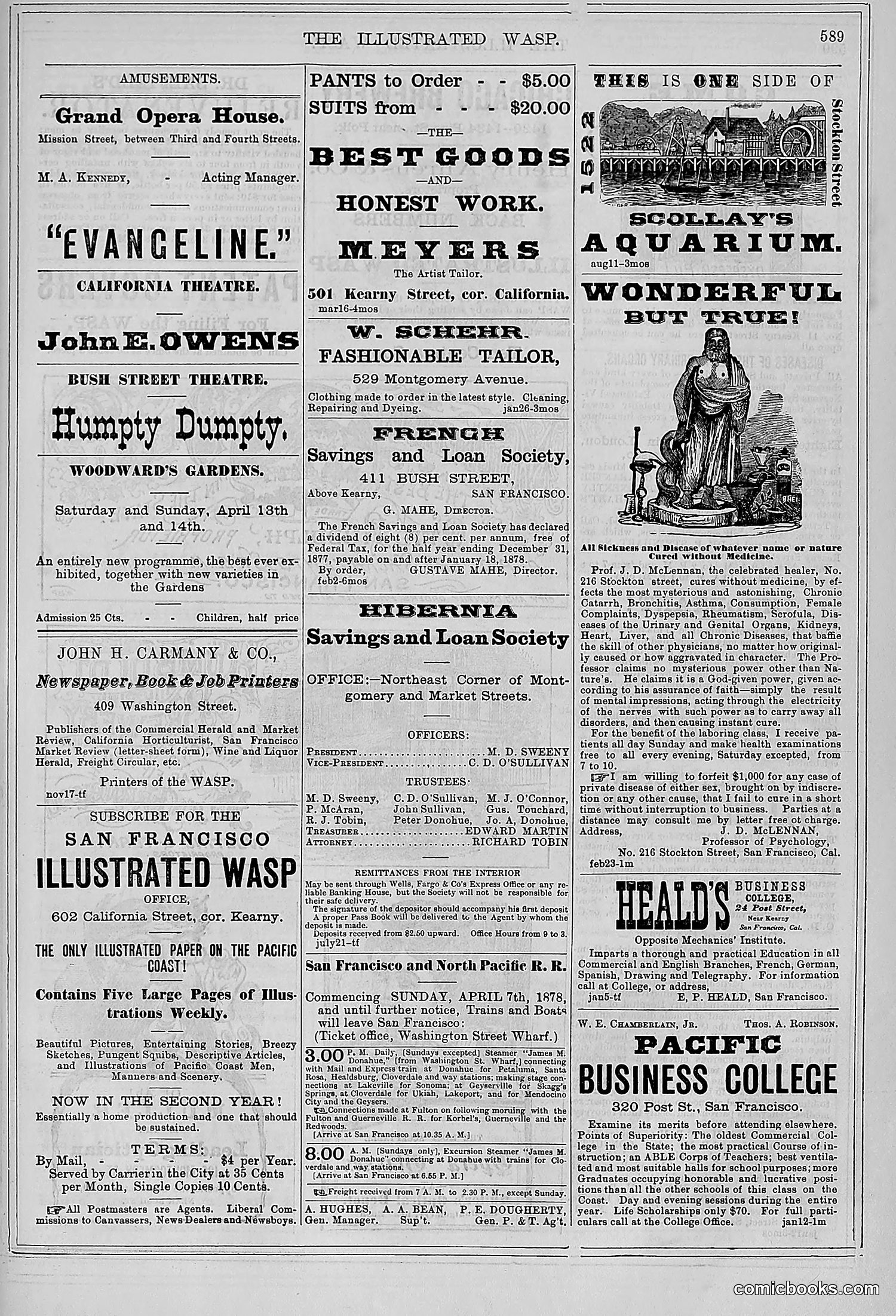 The Wasp — 1878 — page 244 of 500