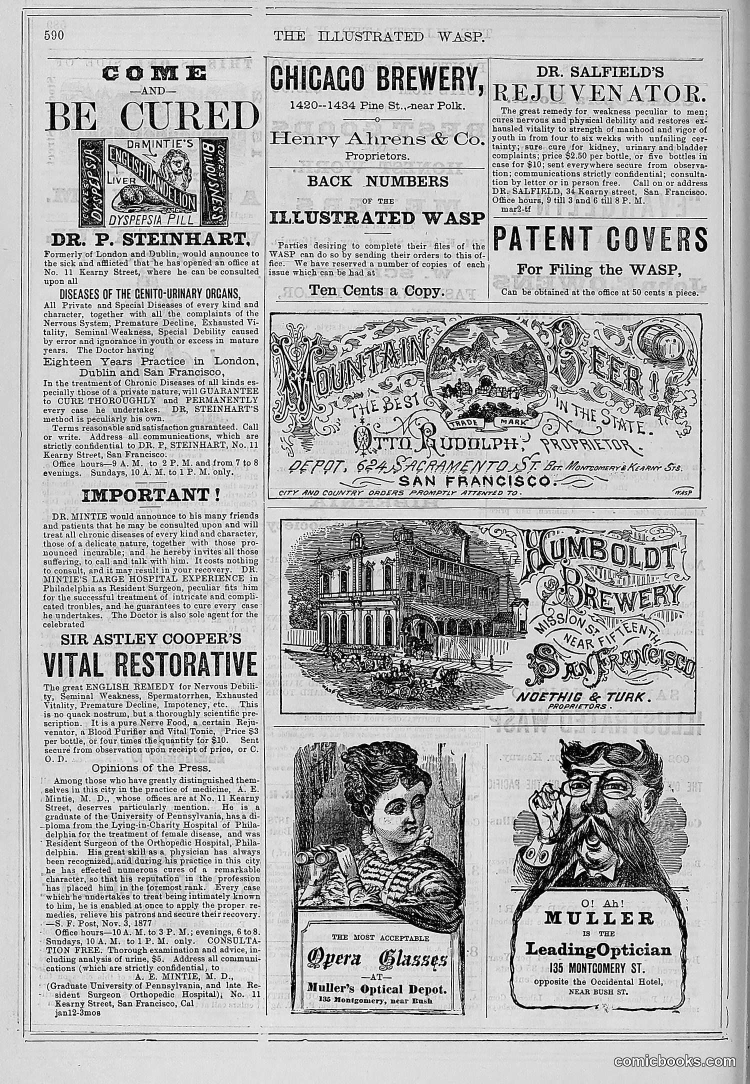 The Wasp — 1878 — page 245 of 500