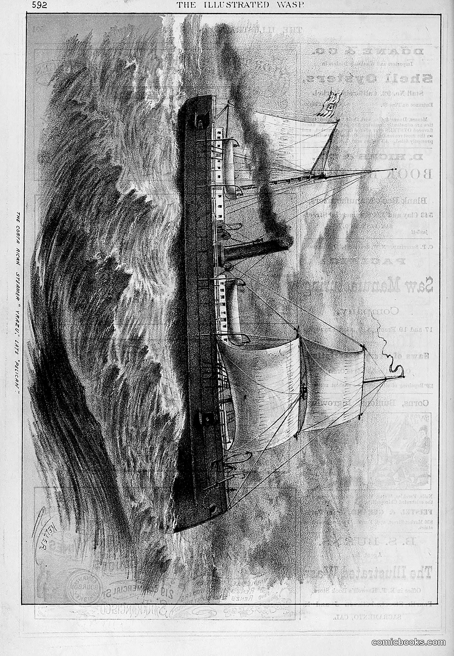 The Wasp — 1878 — page 247 of 500