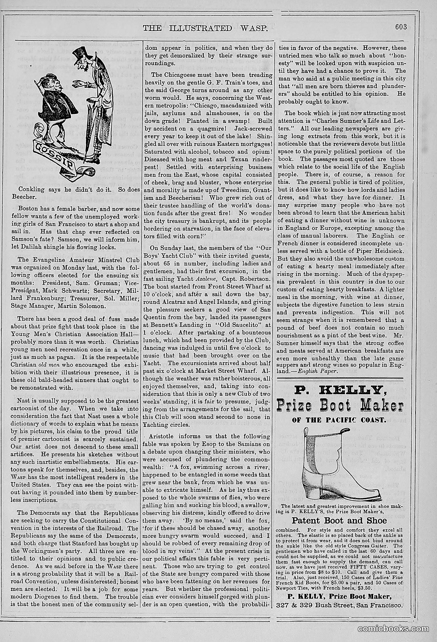 The Wasp — 1878 — page 258 of 500
