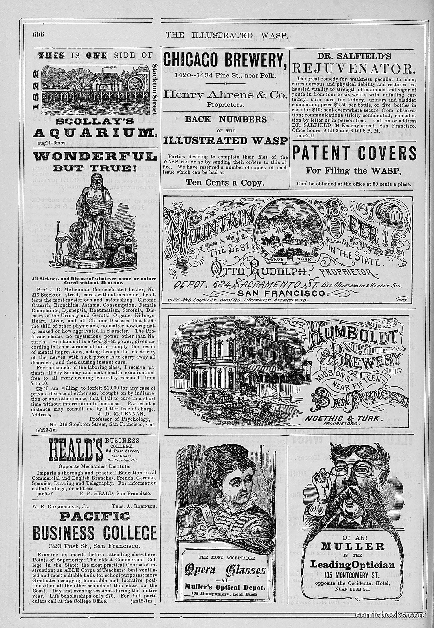 The Wasp — 1878 — page 261 of 500