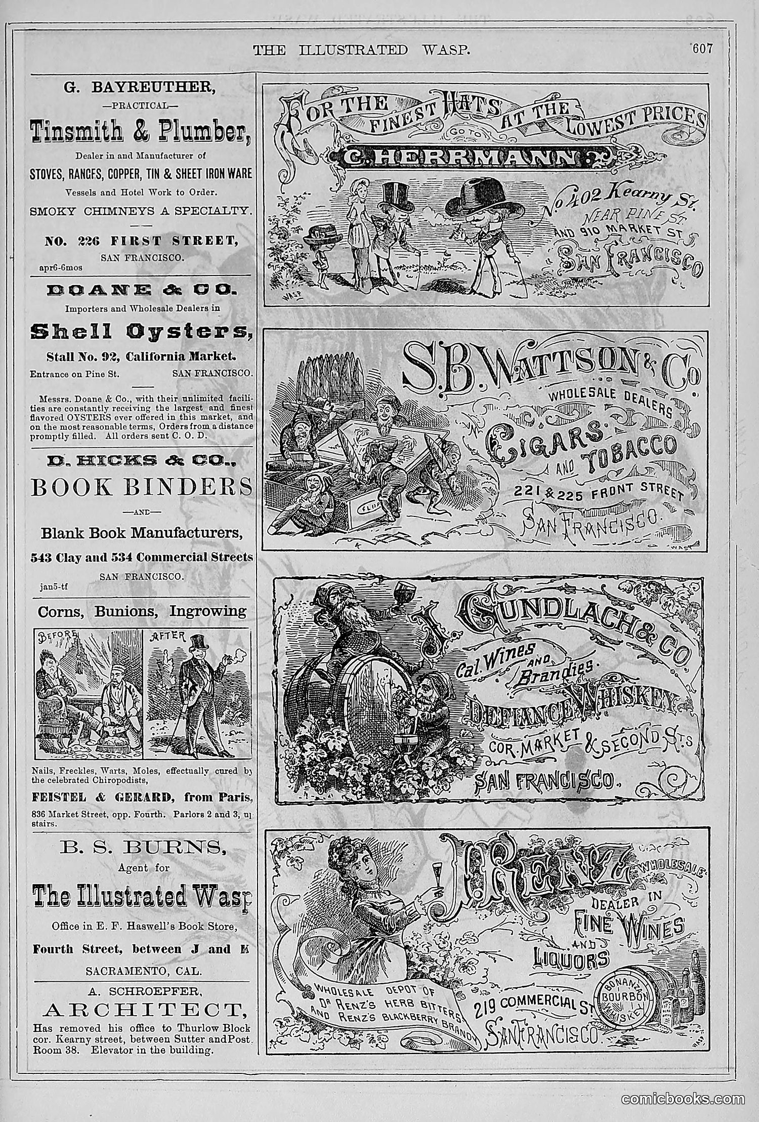 The Wasp — 1878 — page 262 of 500