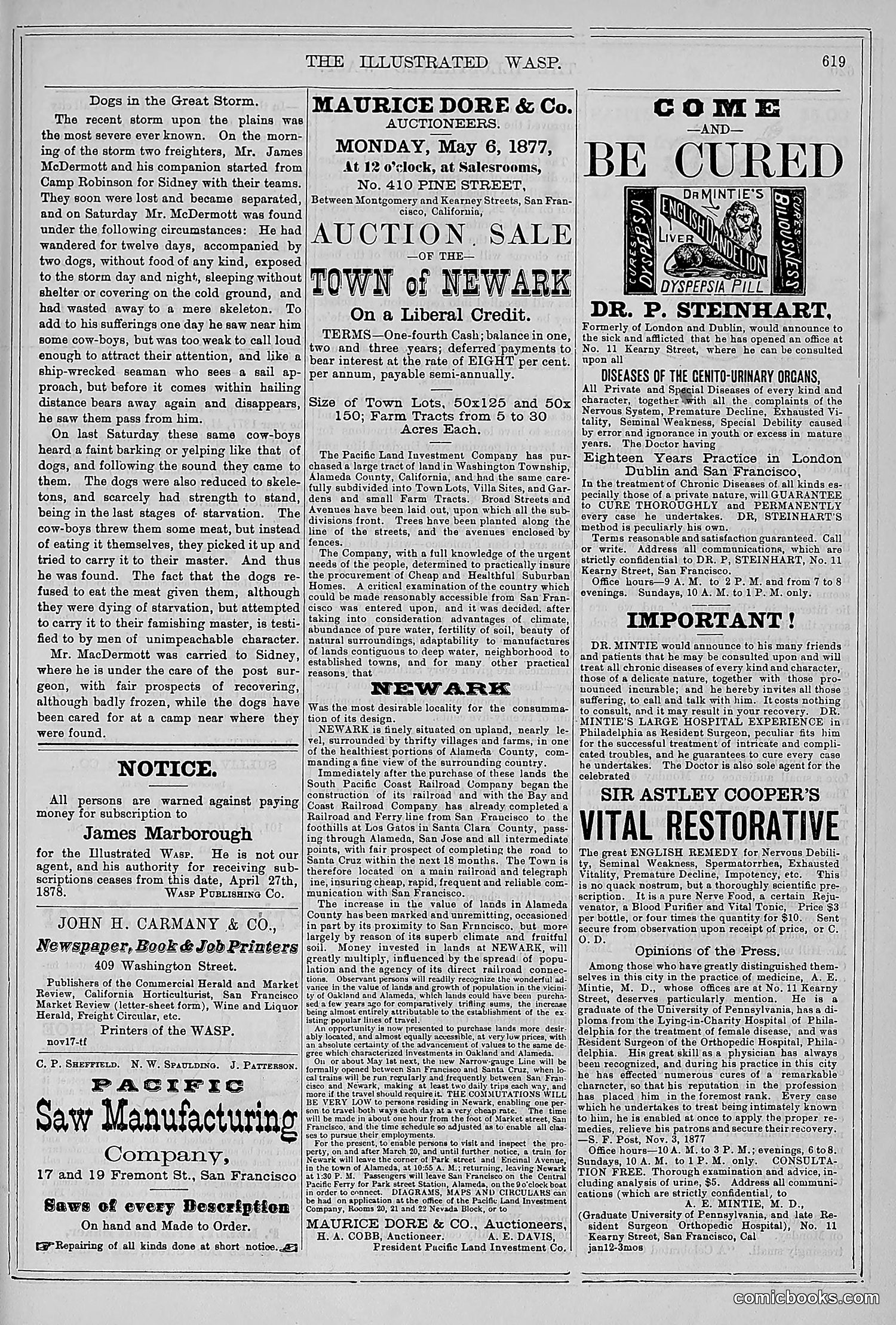 The Wasp — 1878 — page 274 of 500