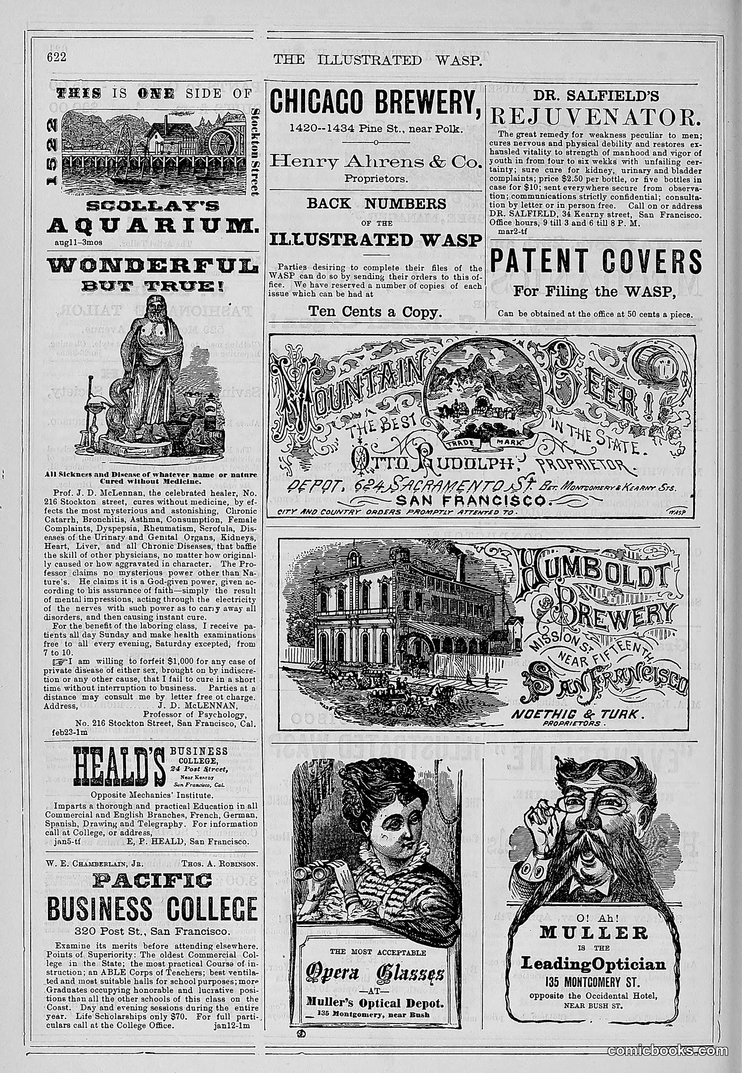The Wasp — 1878 — page 277 of 500