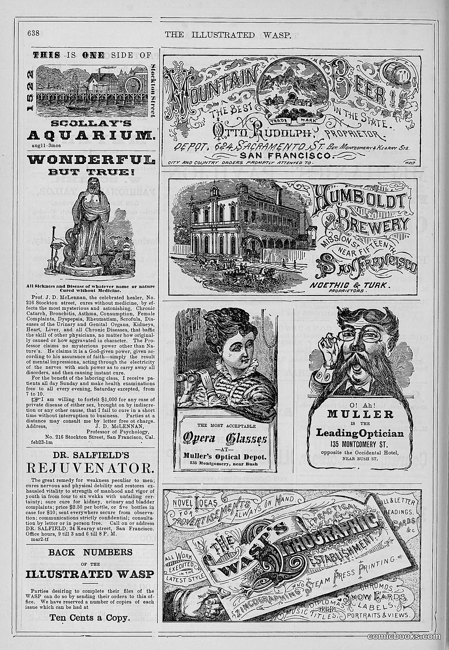 The Wasp — 1878 — page 293 of 500