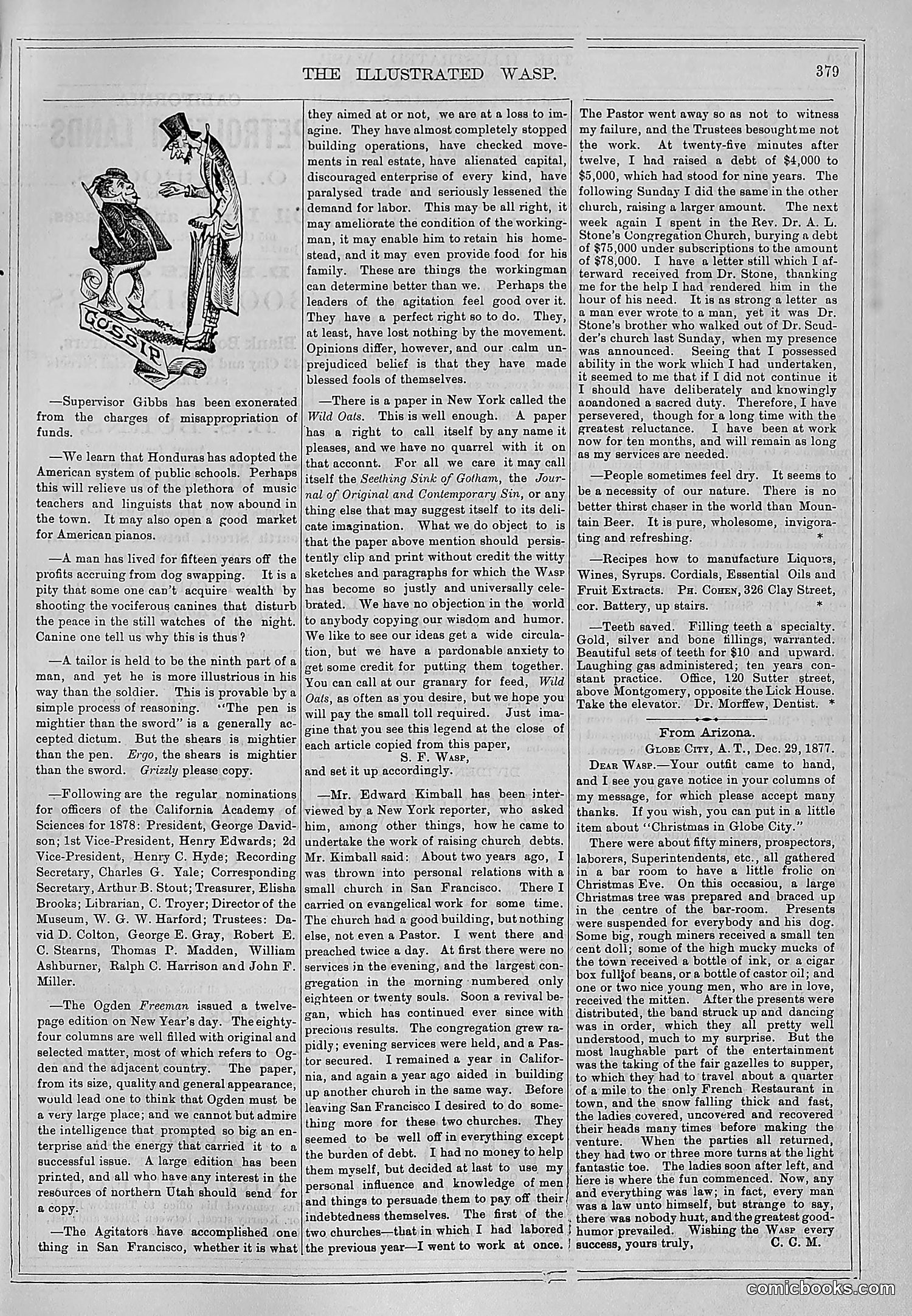 The Wasp — 1878 — page 34 of 500