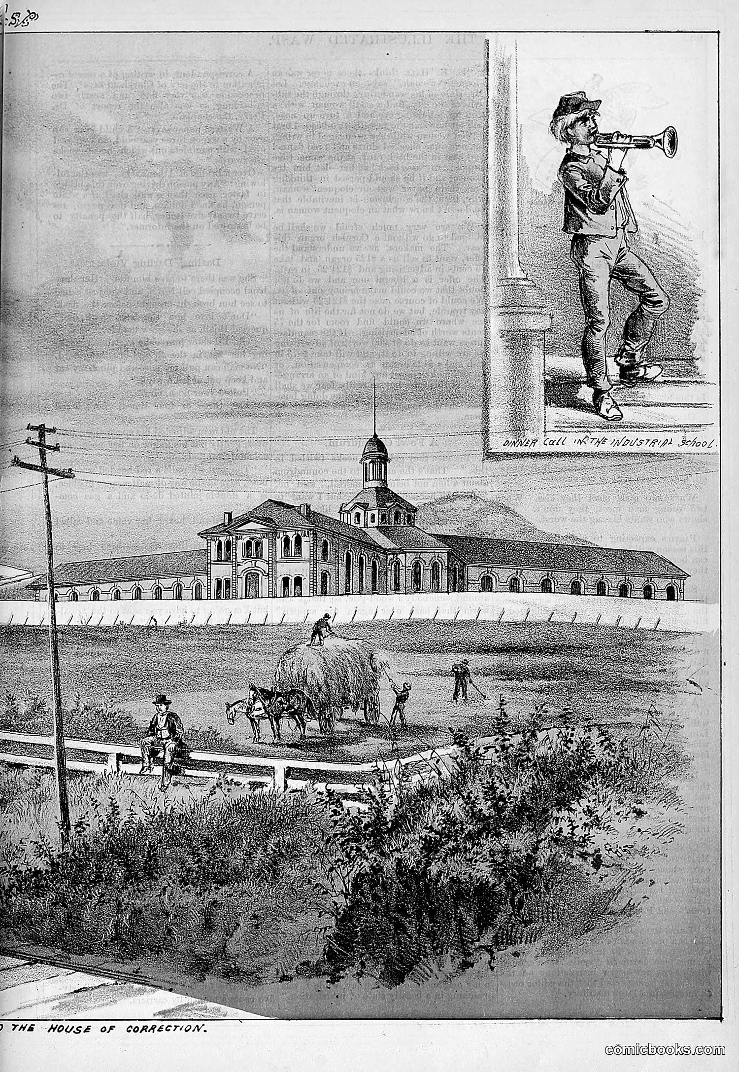 The Wasp — 1878 — page 338 of 500