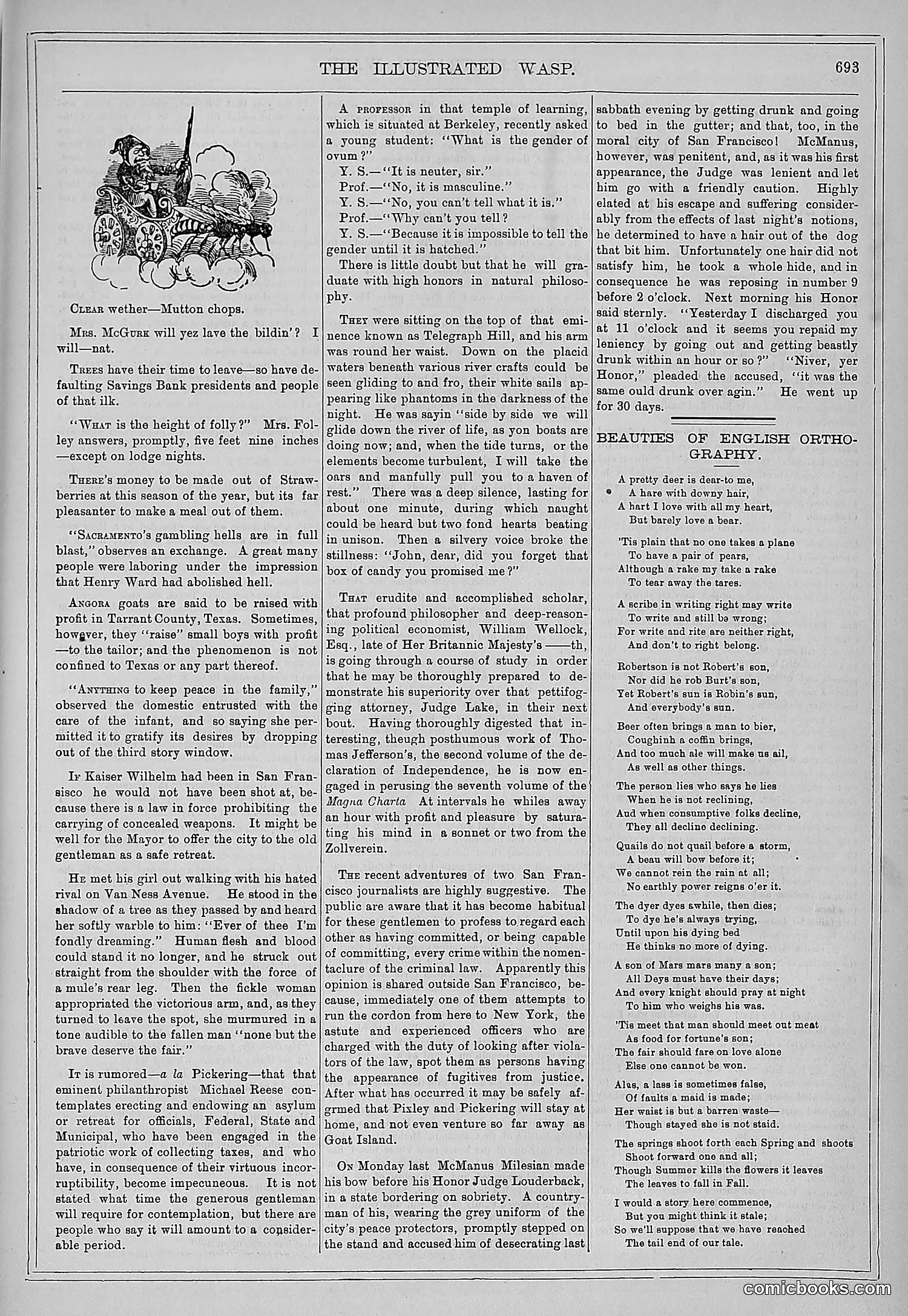 The Wasp — 1878 — page 350 of 500