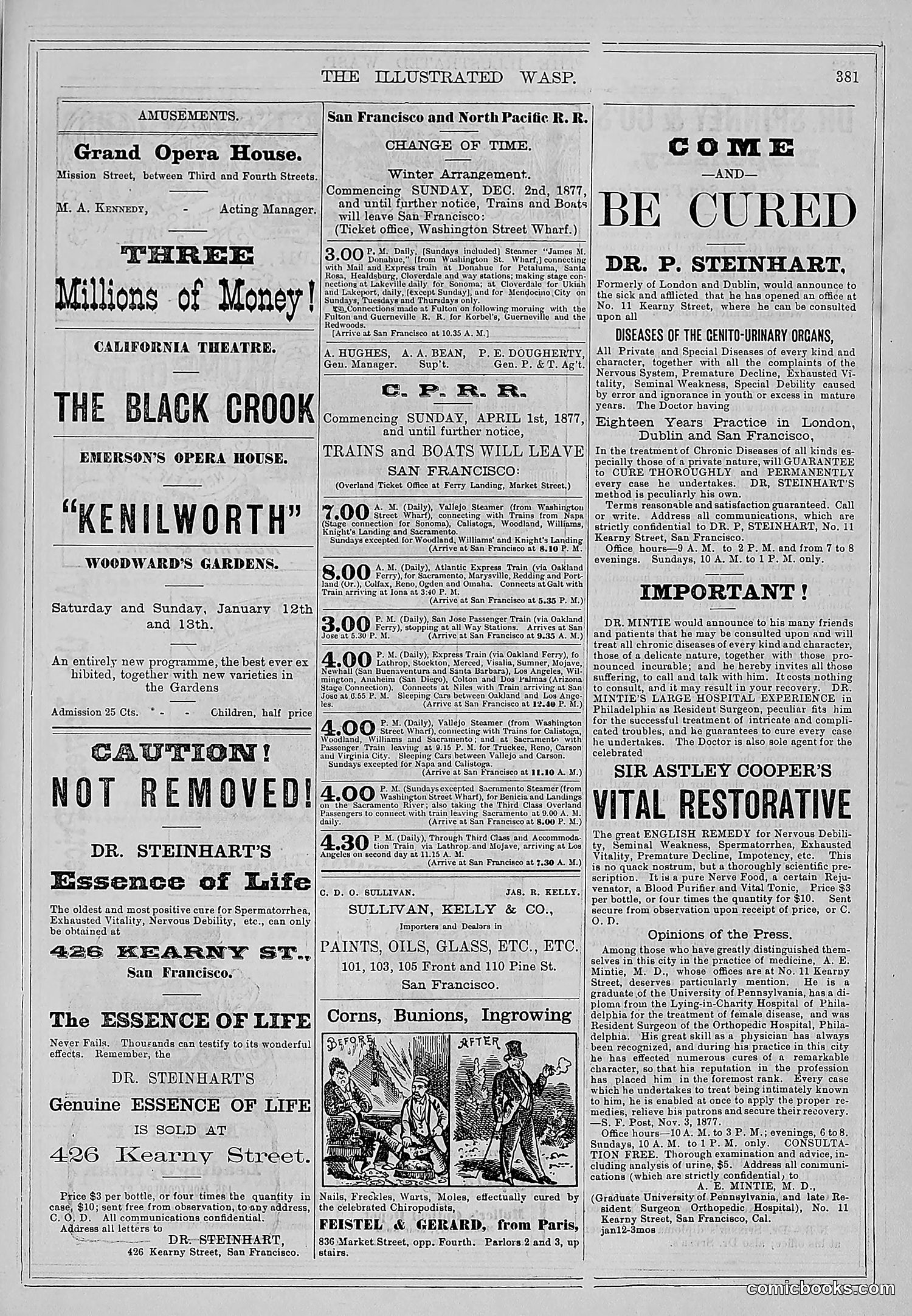 The Wasp — 1878 — page 36 of 500
