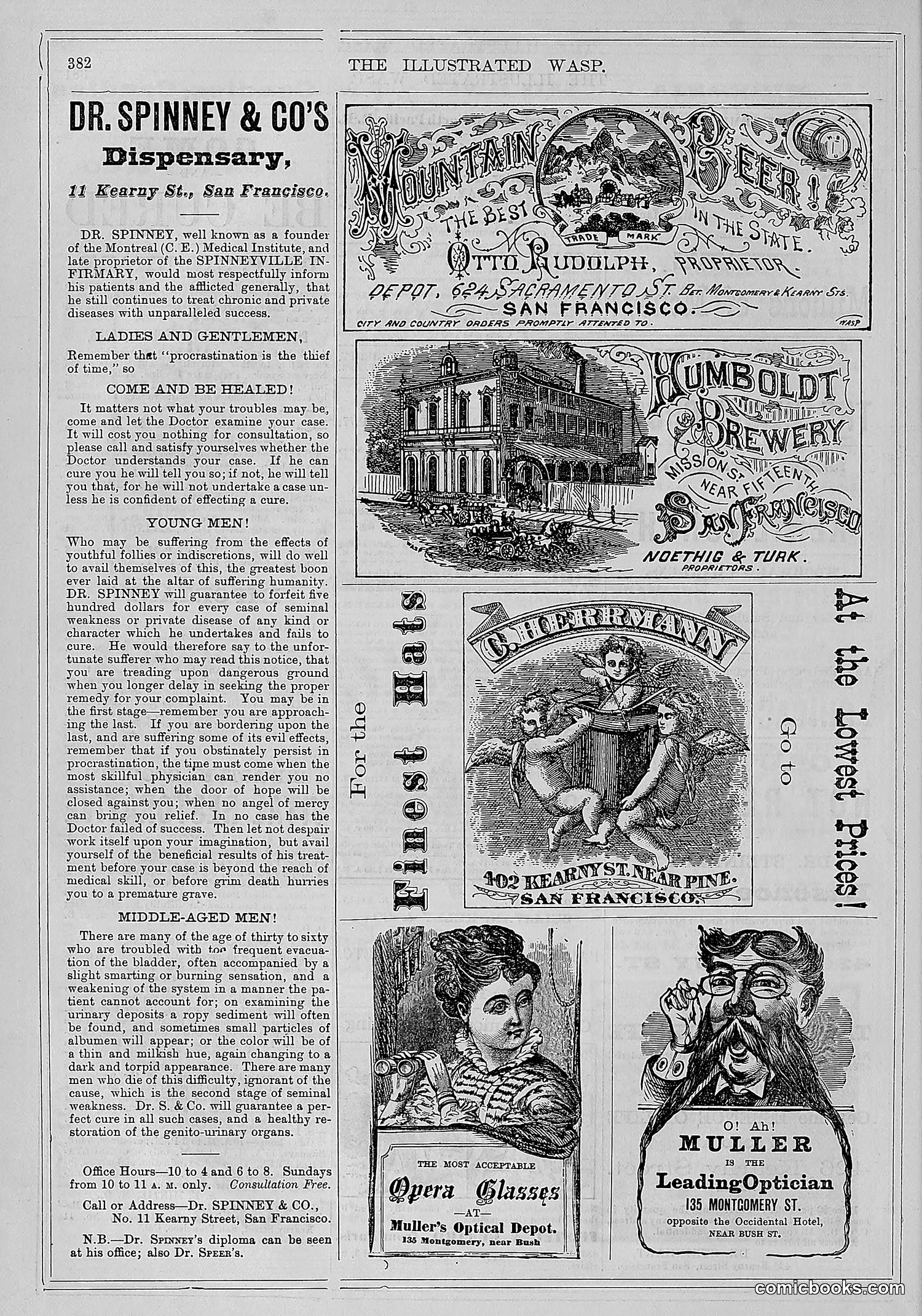 The Wasp — 1878 — page 37 of 500