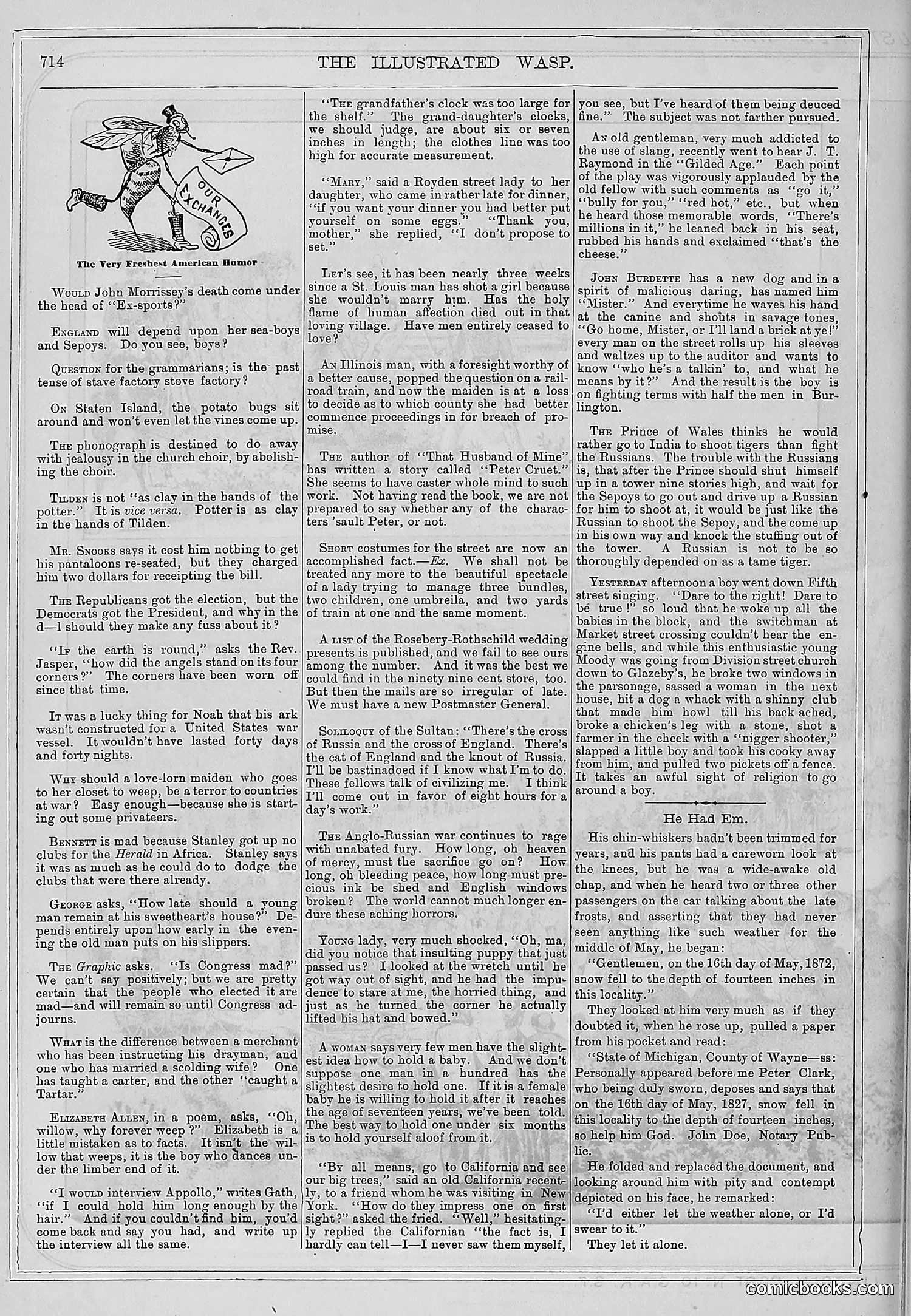 The Wasp — 1878 — page 371 of 500