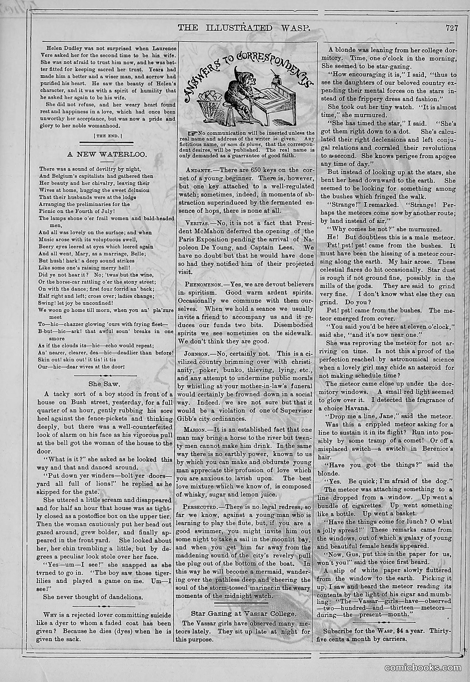 The Wasp — 1878 — page 384 of 500