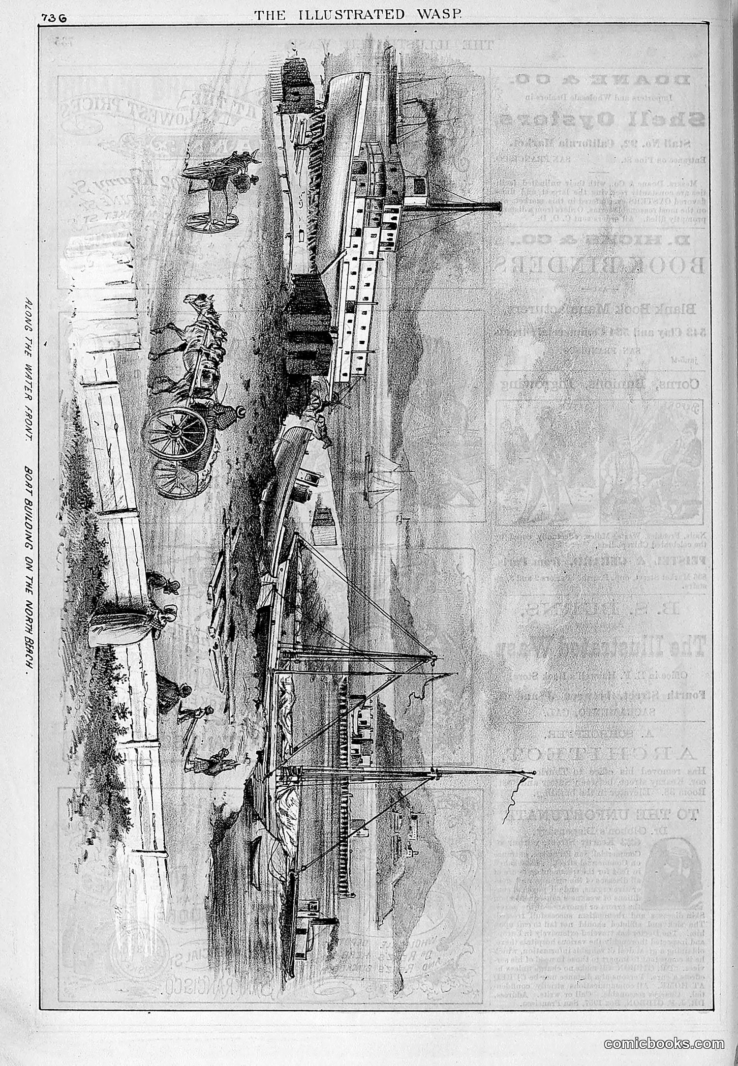 The Wasp — 1878 — page 393 of 500