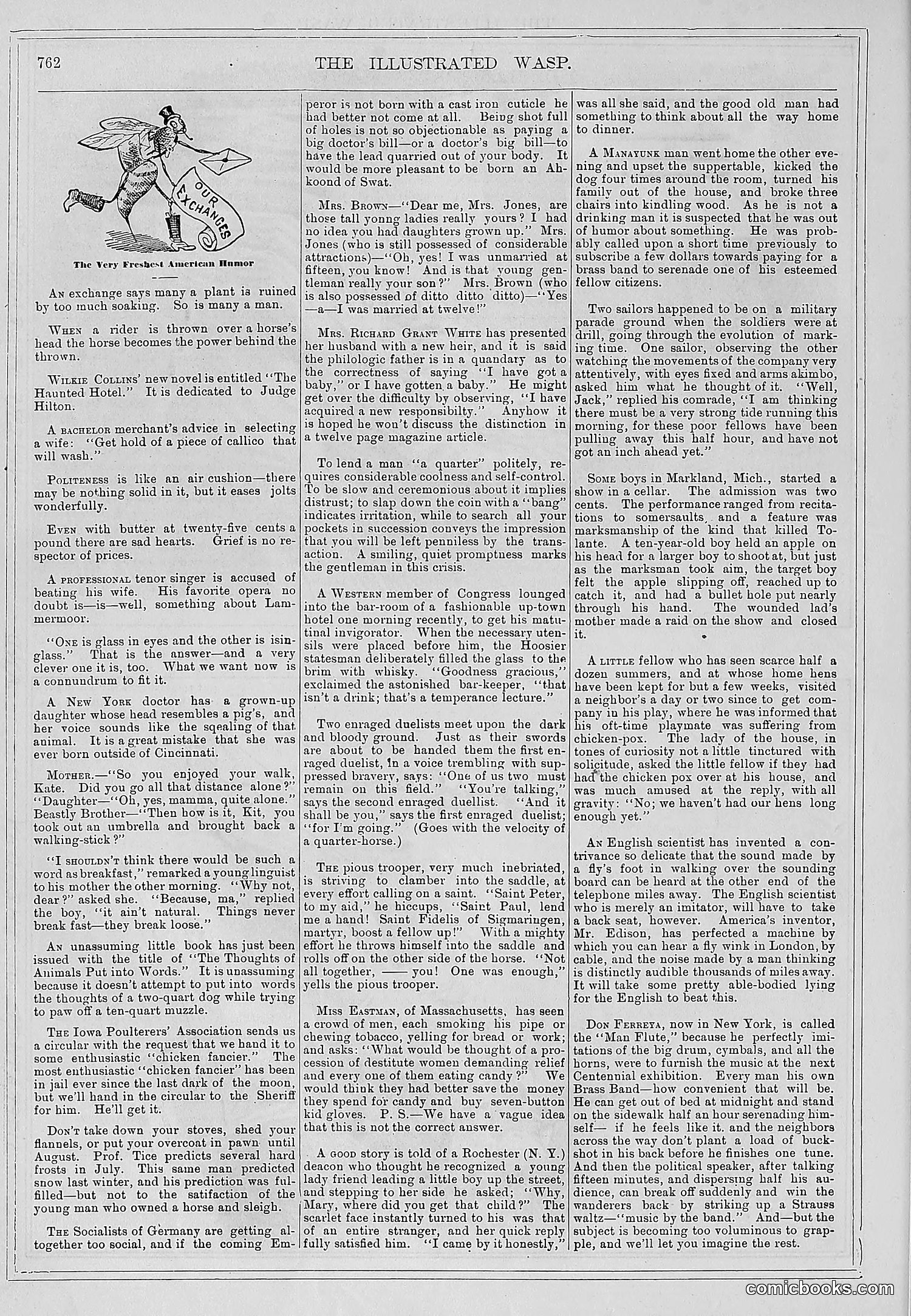 The Wasp — 1878 — page 419 of 500
