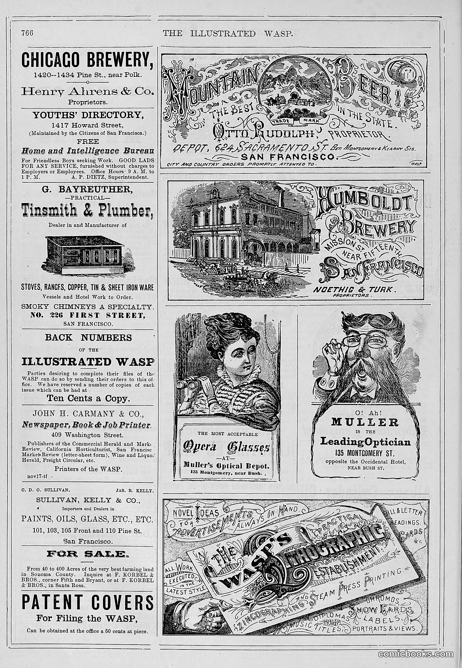 The Wasp — 1878 — page 423 of 500