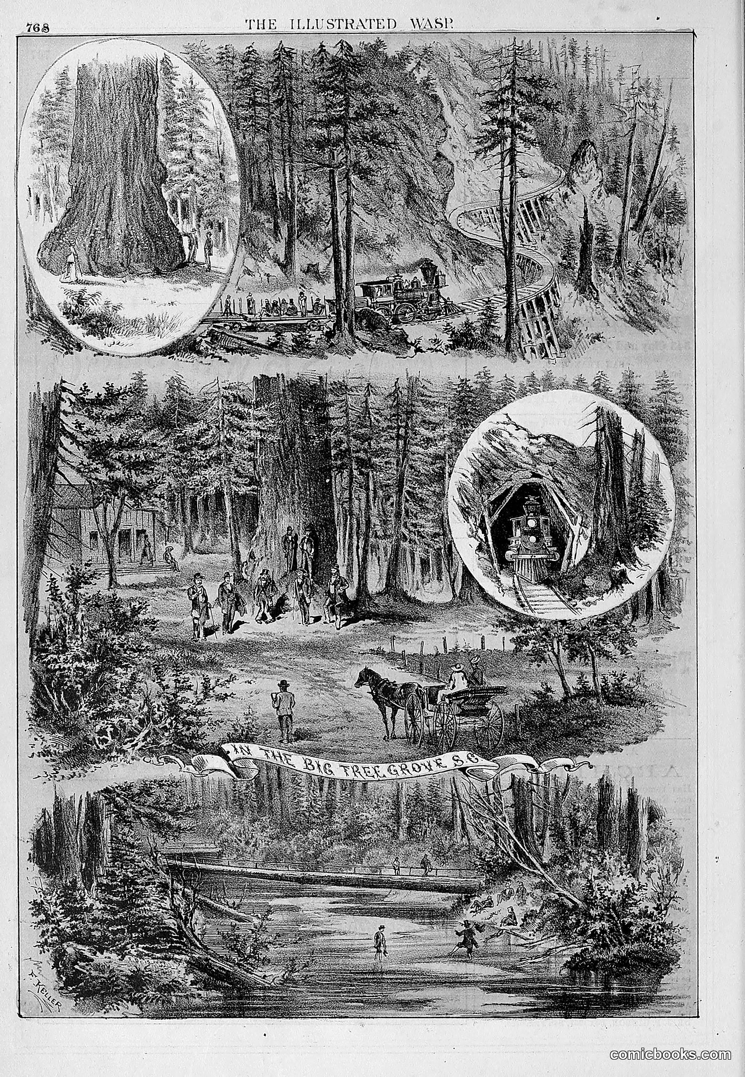 The Wasp — 1878 — page 425 of 500