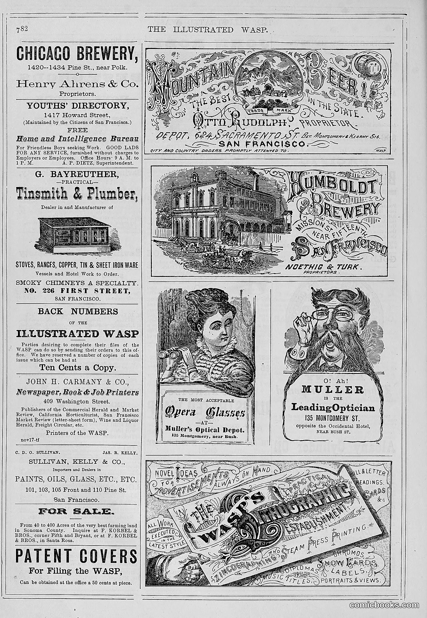 The Wasp — 1878 — page 439 of 500
