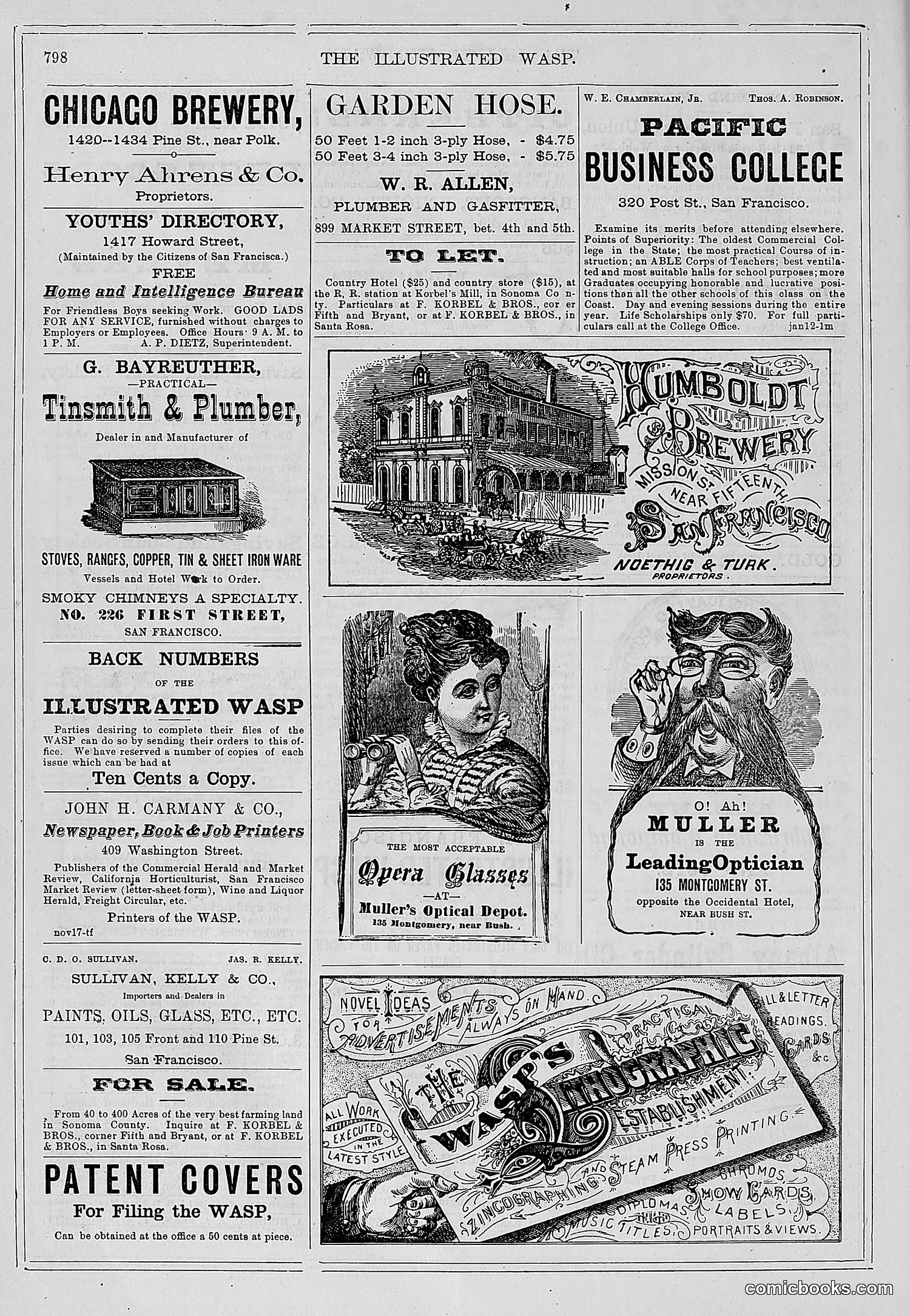 The Wasp — 1878 — page 455 of 500