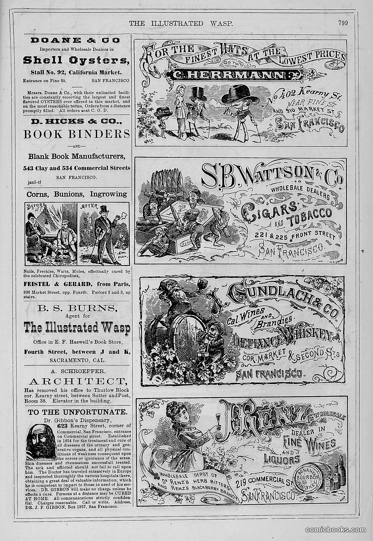 The Wasp — 1878 — page 456 of 500