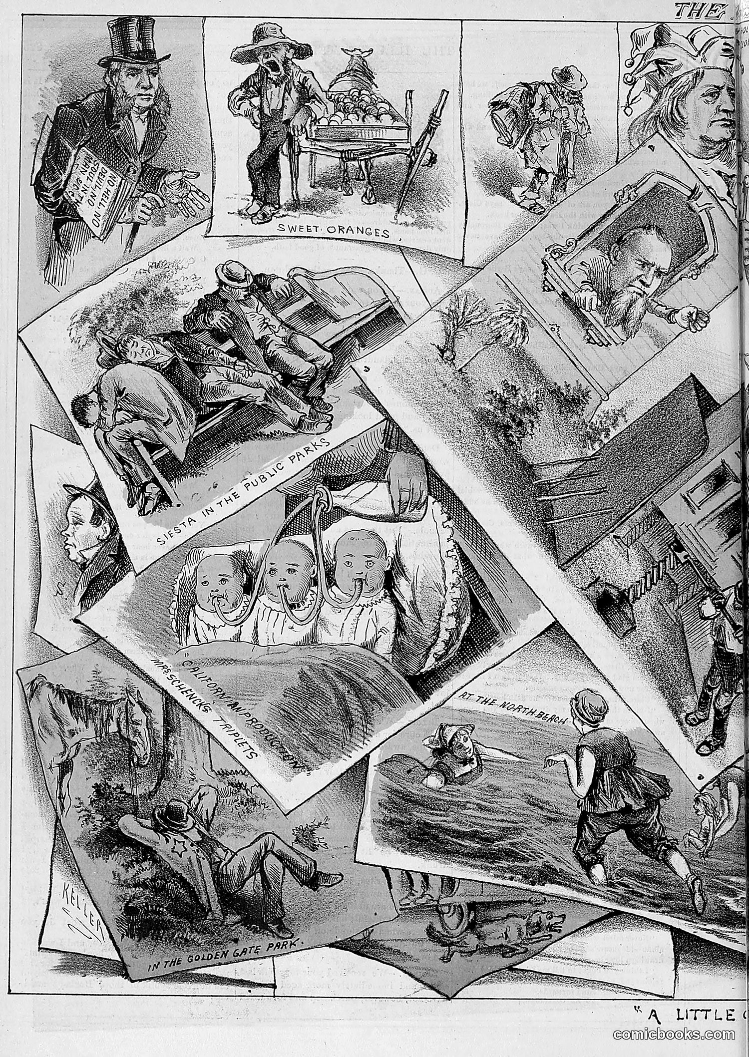 The Wasp — 1878 — page 481 of 500