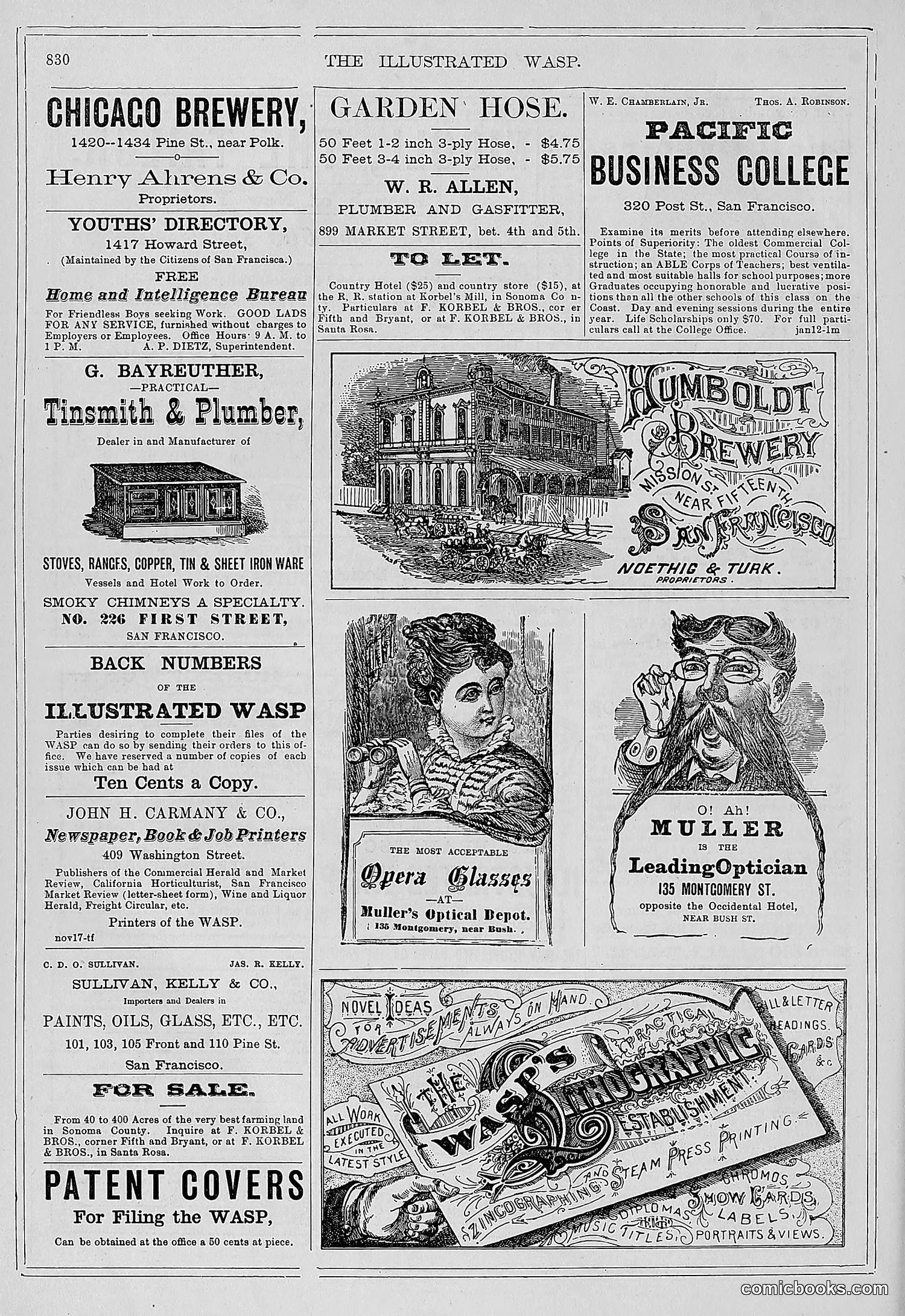 The Wasp — 1878 — page 487 of 500