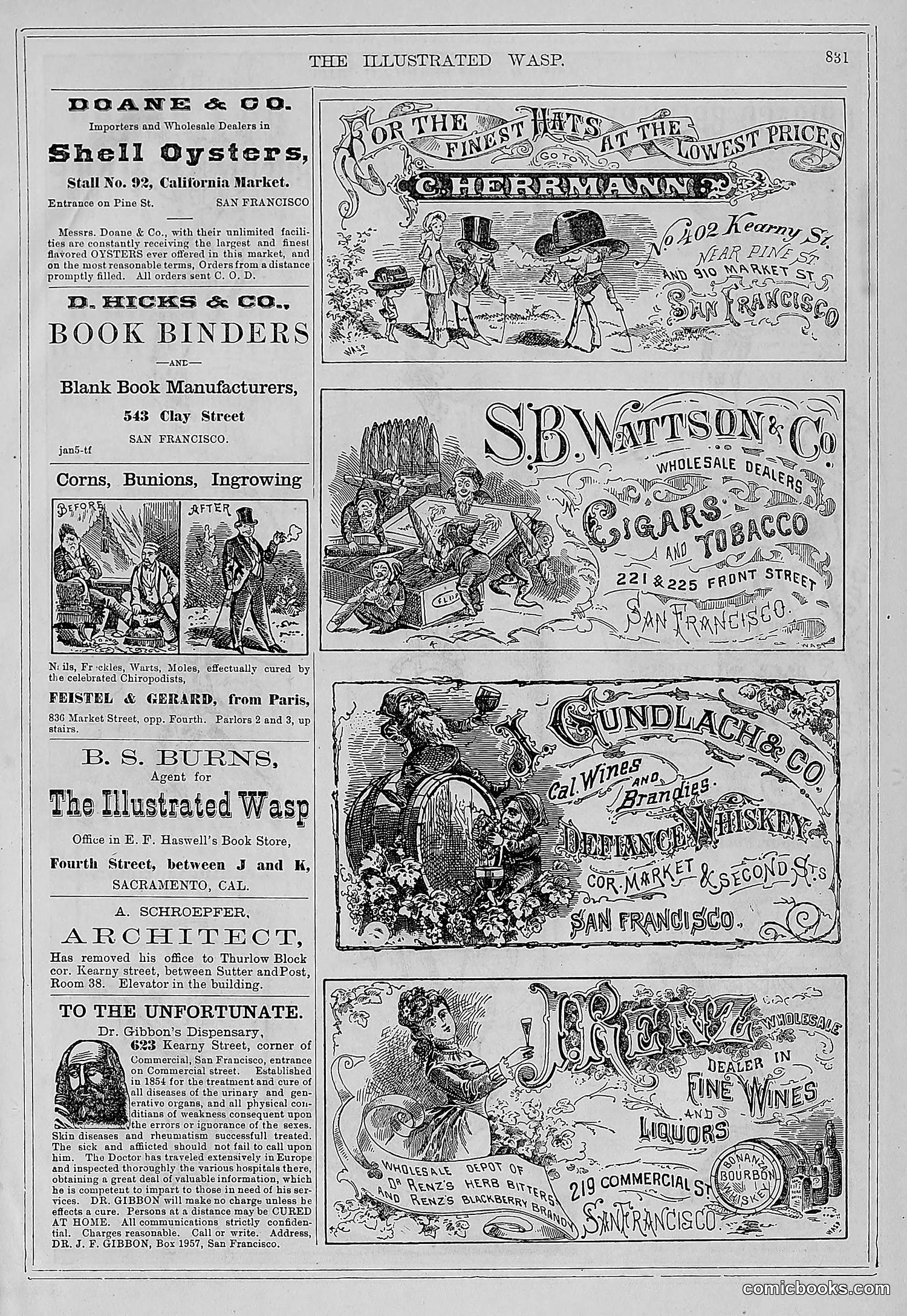 The Wasp — 1878 — page 488 of 500